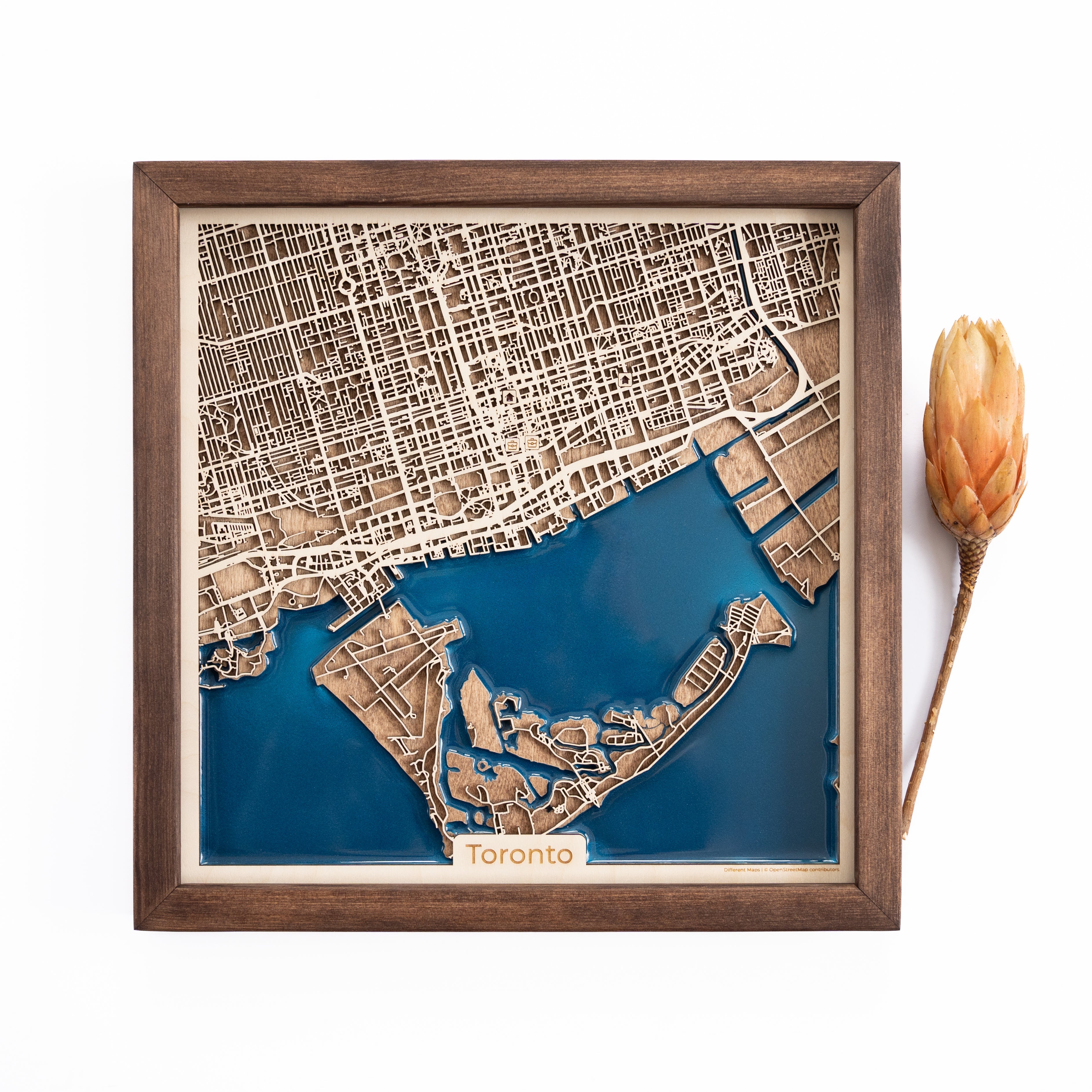 Toronto Wood Map