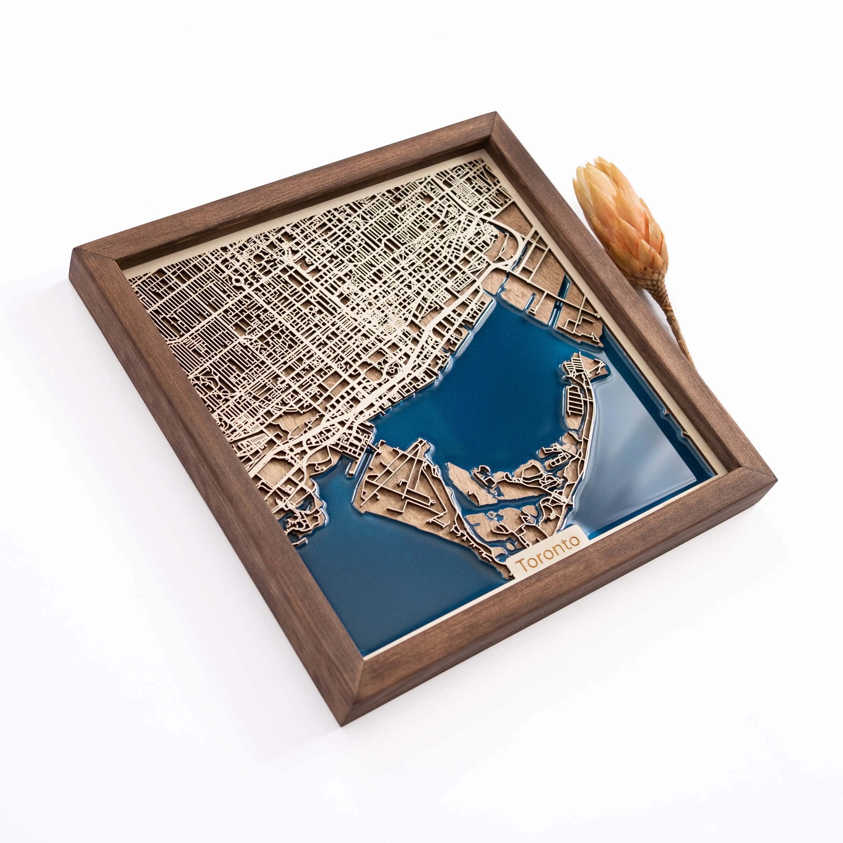Toronto Map
