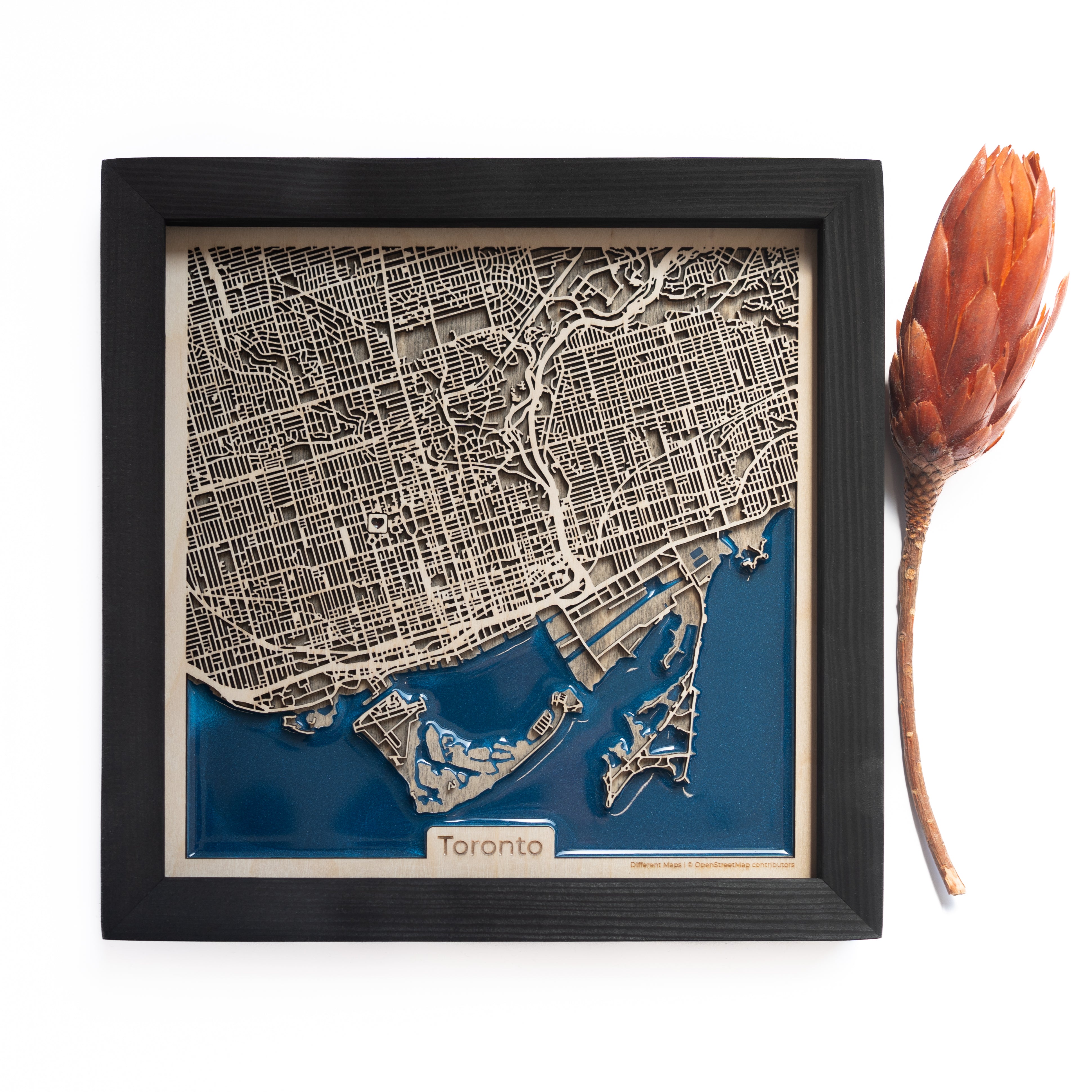 Toronto Wood Map