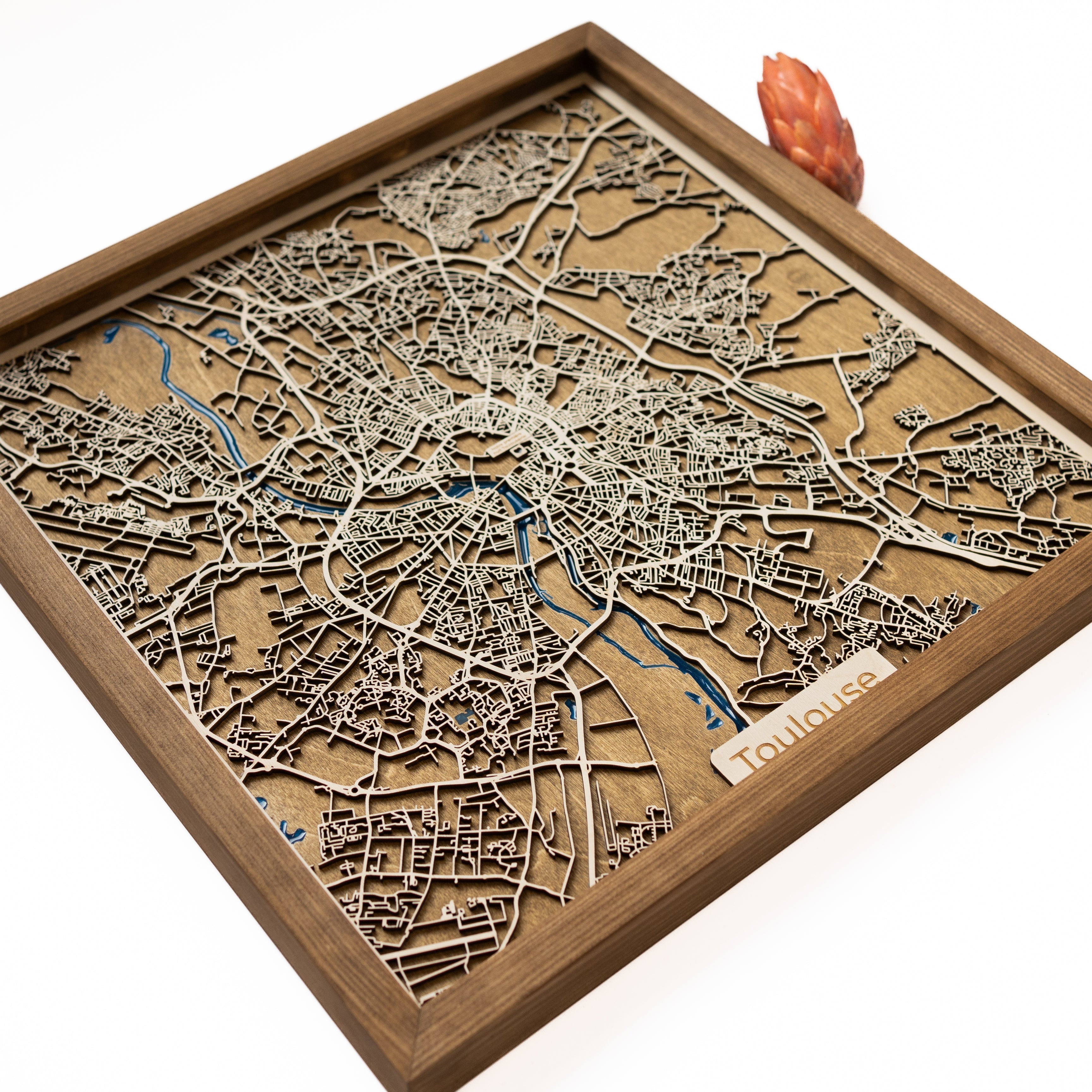 Toulouse Map