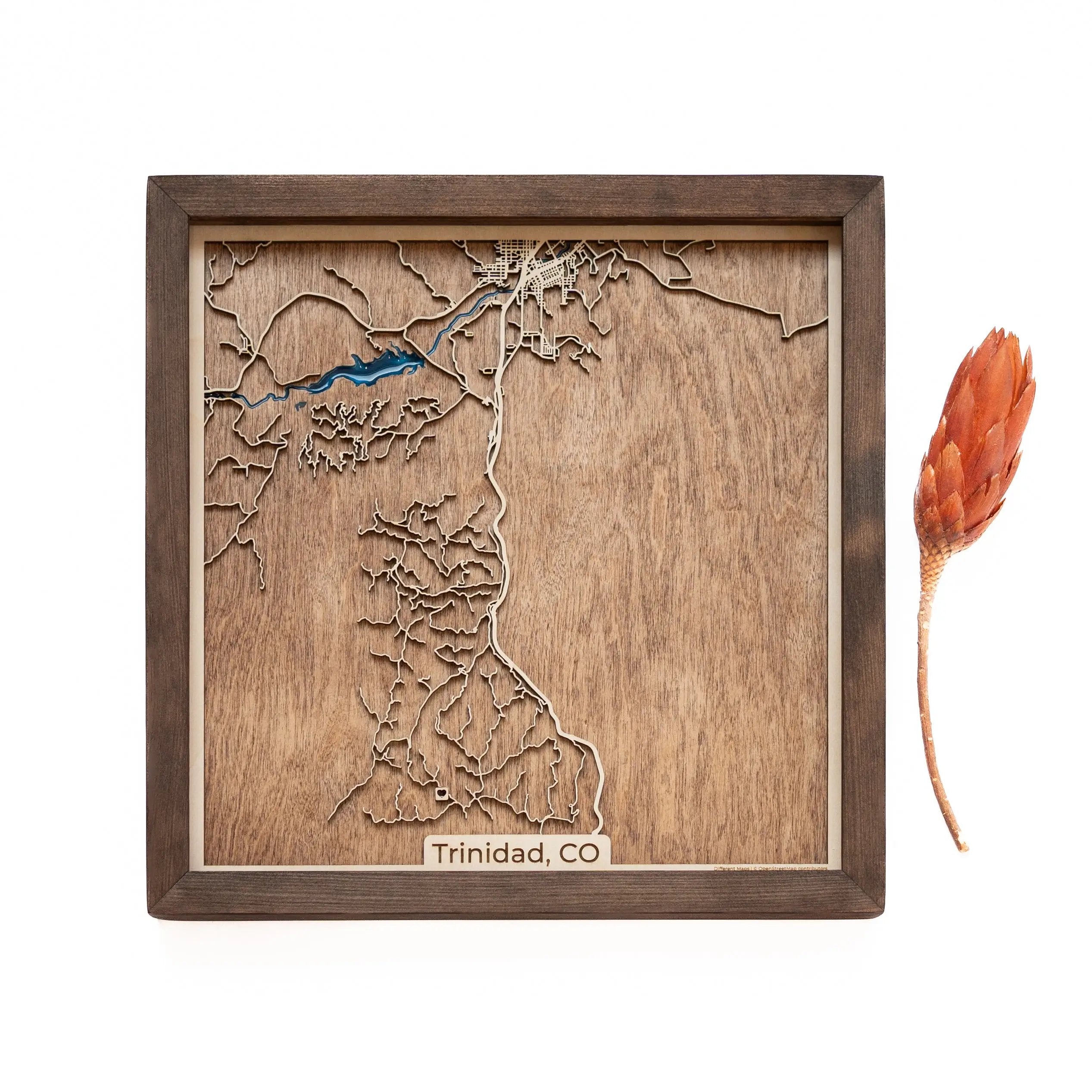 Trinidad Wood Map