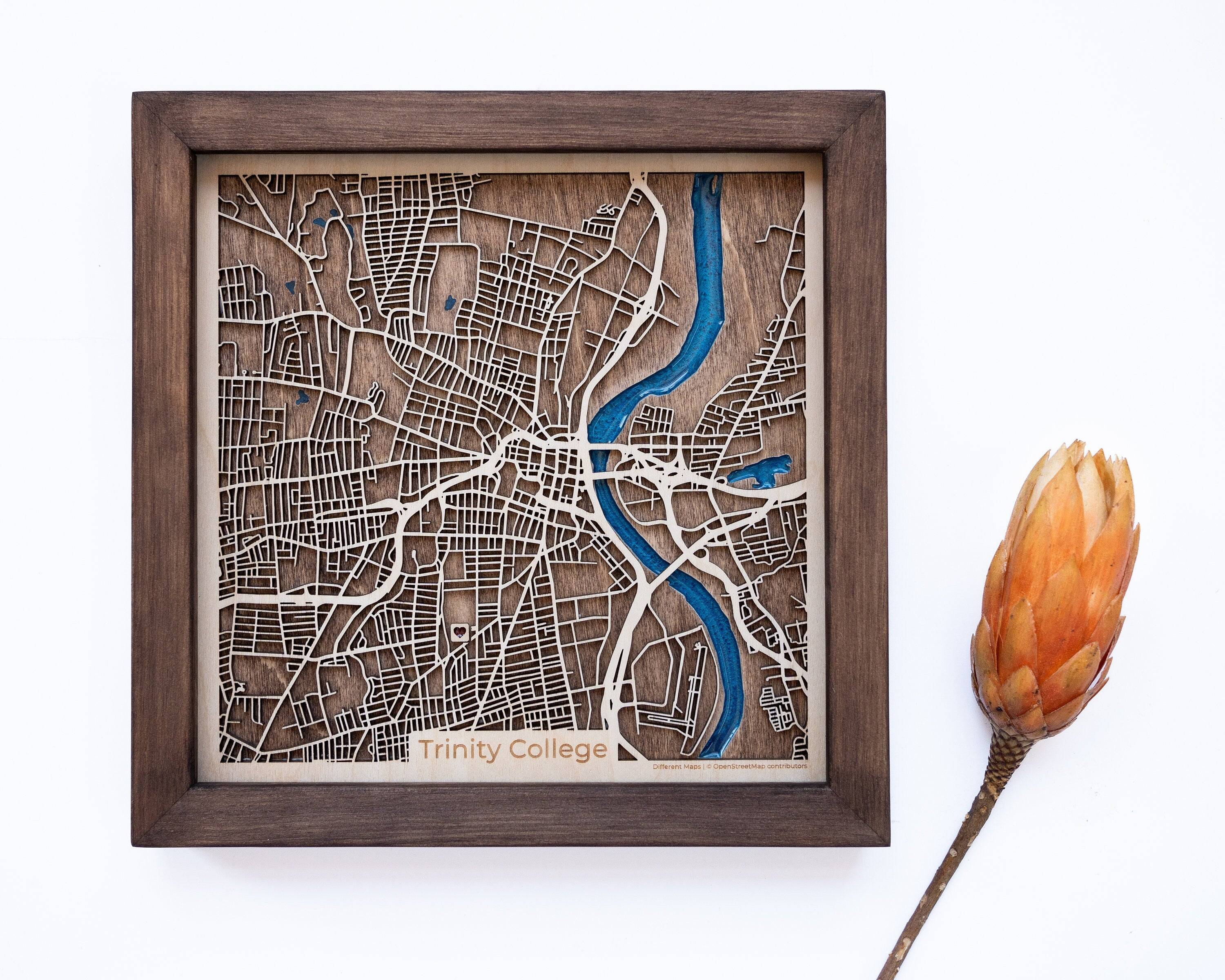 Trinity College CT Wood Map