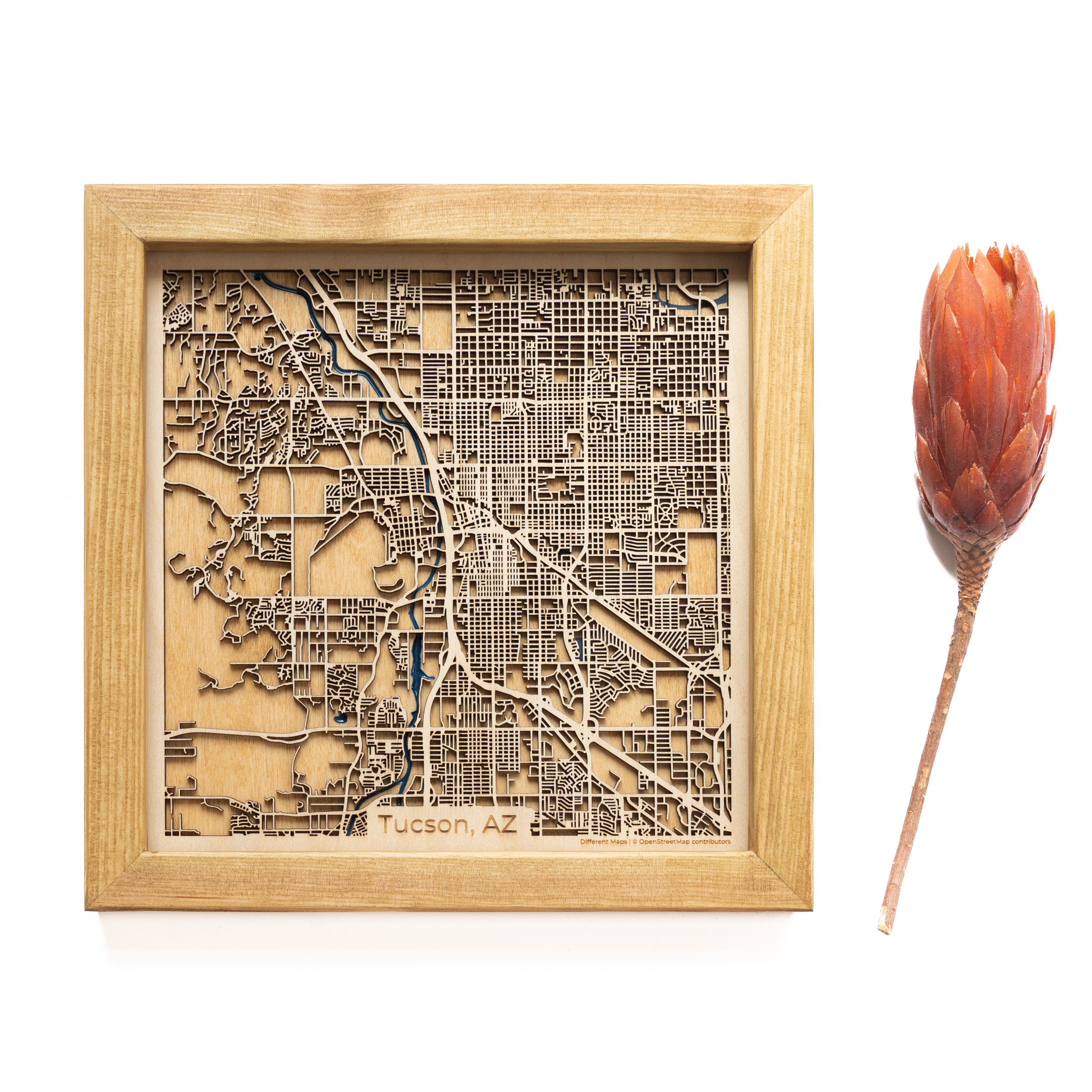 Tucson Wood Map