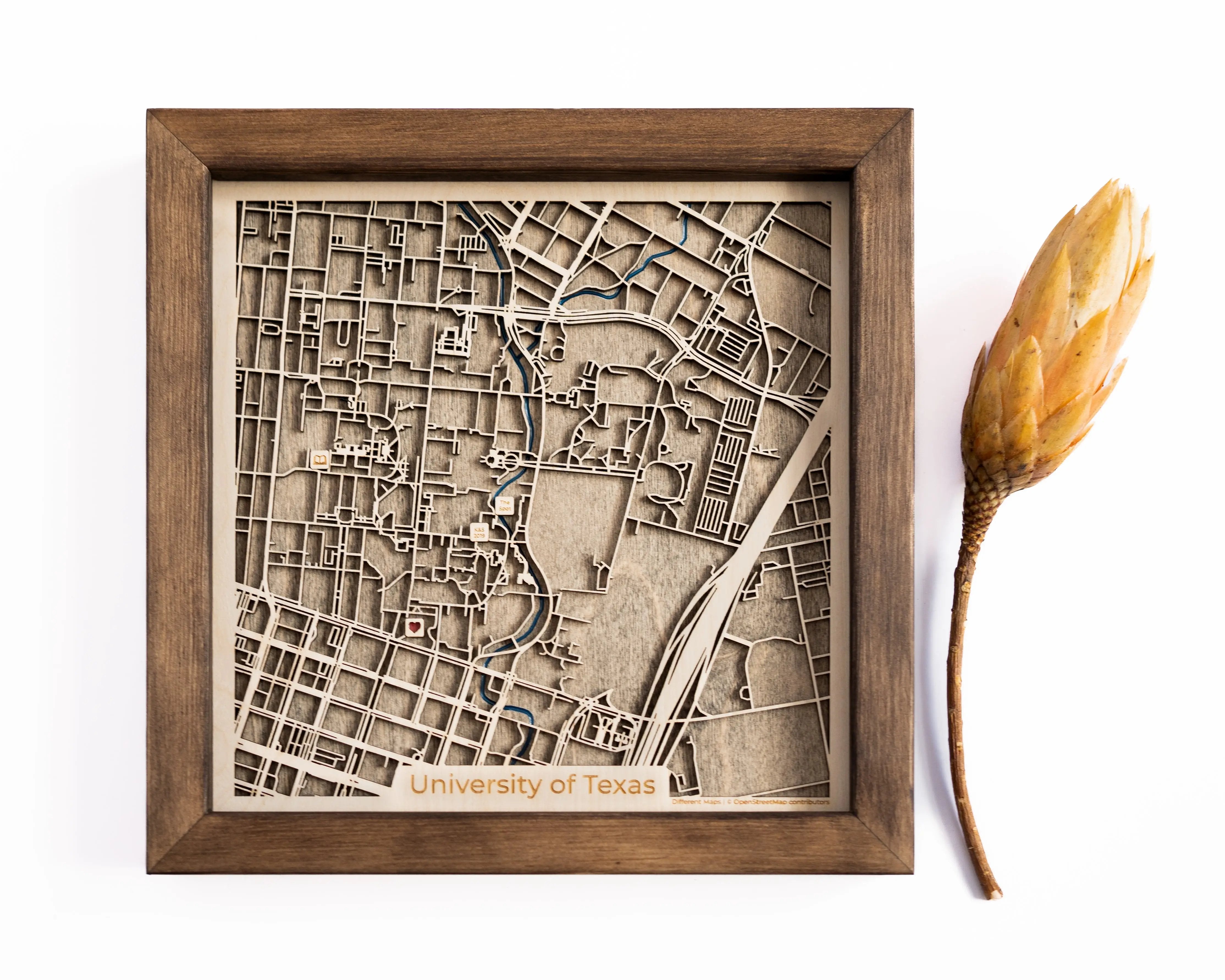 University of Texas Wood Map