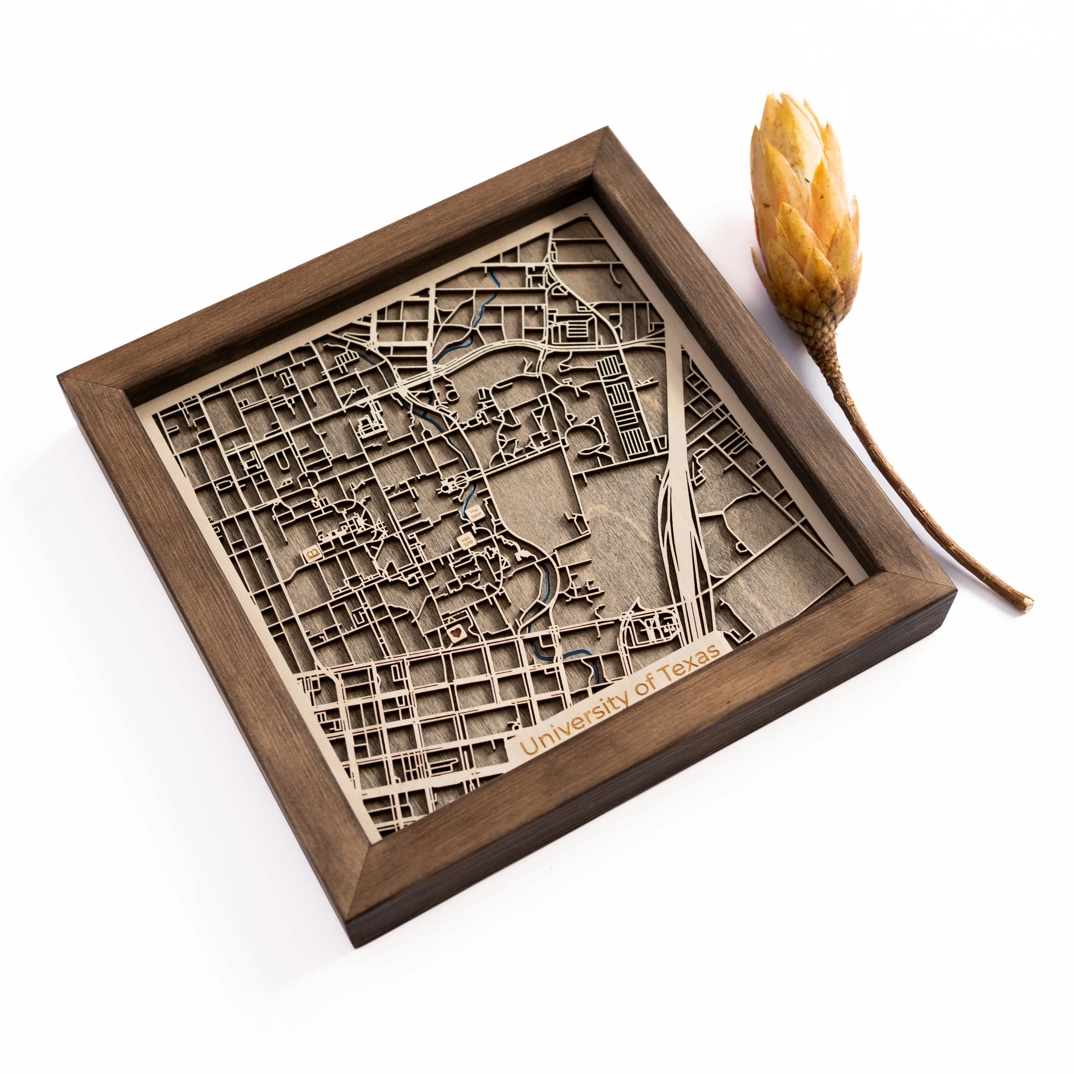 University of Texas Map