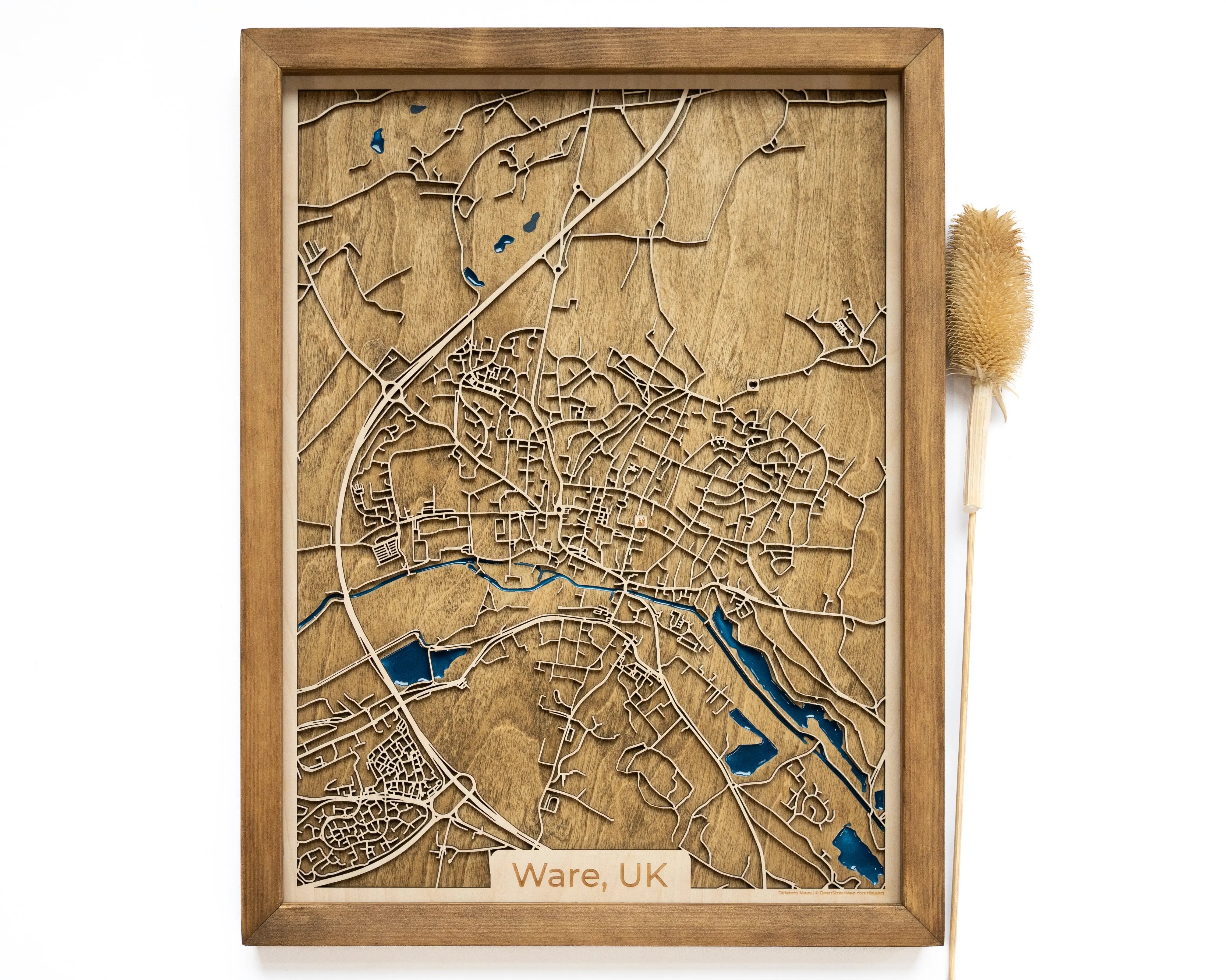 Ware Wood Map