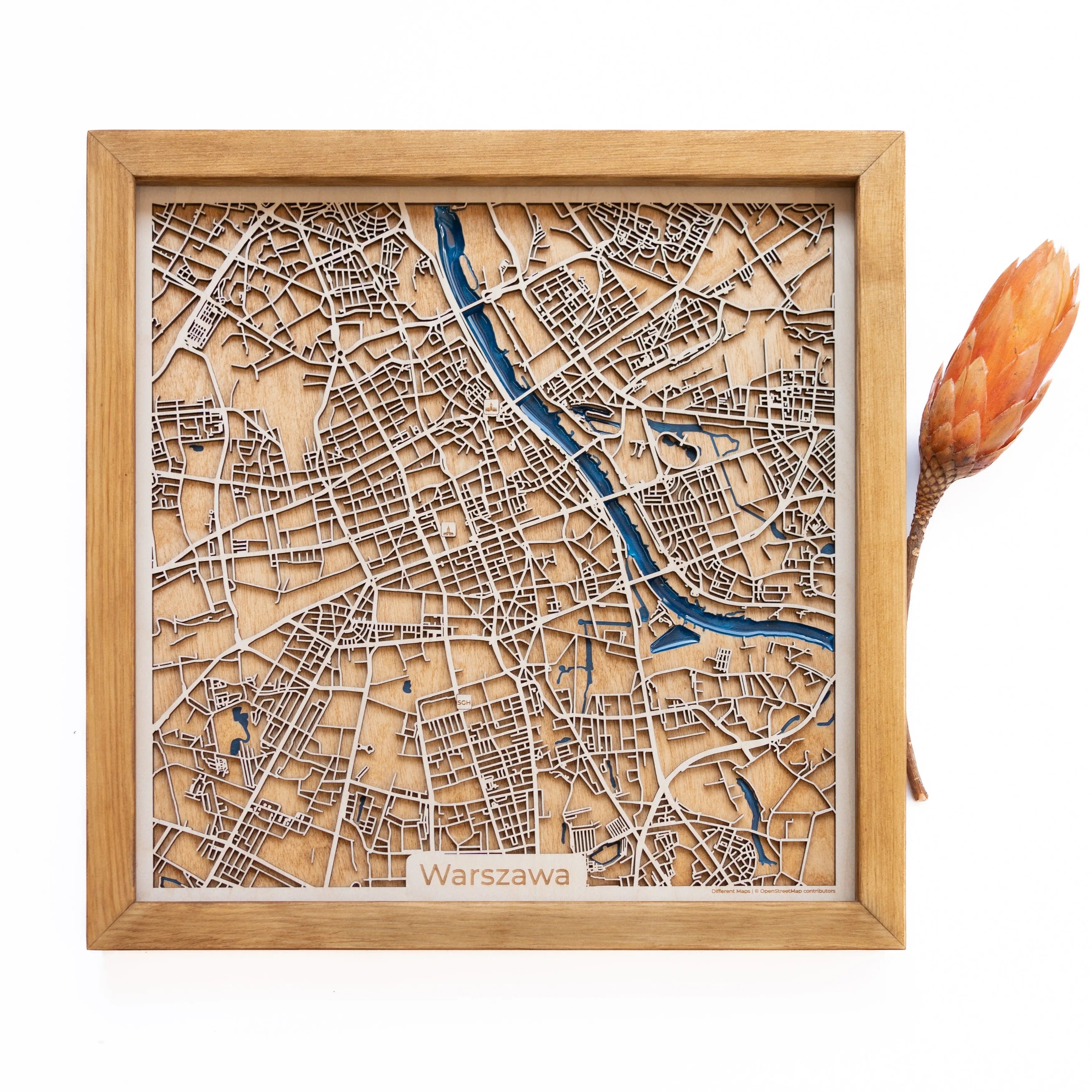 Warsaw Wood Map