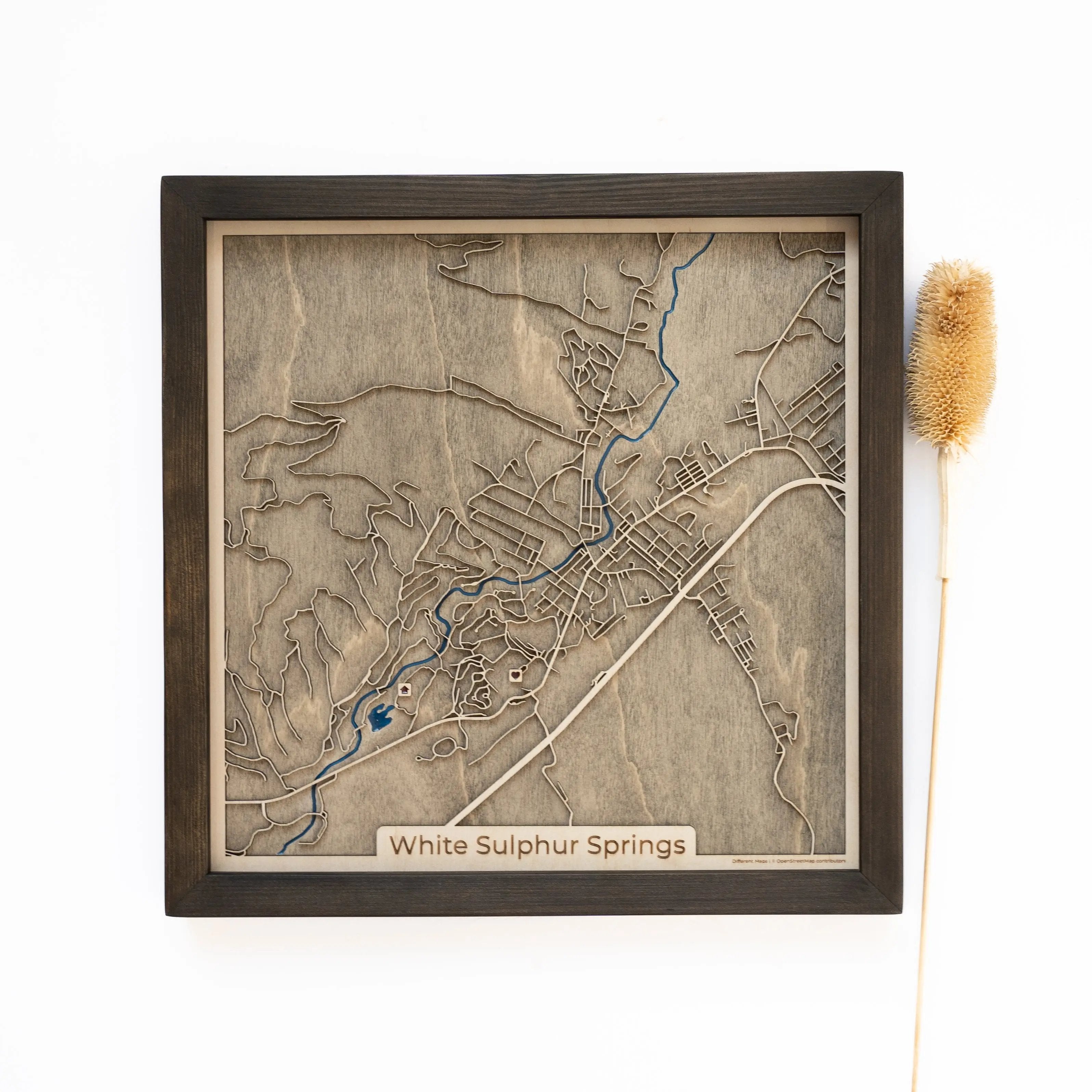 White Sulphur Springs Wood Map