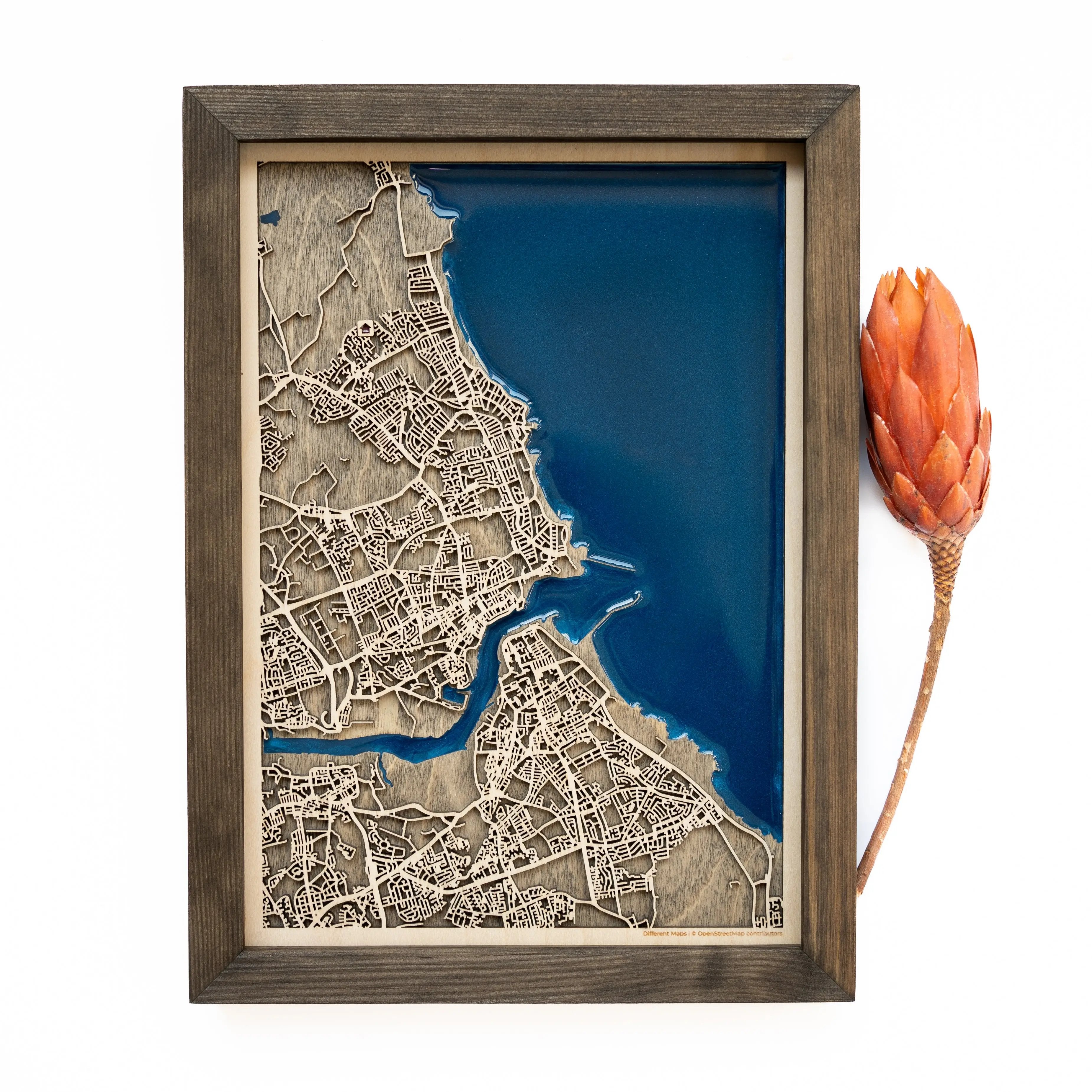 Whitley Bay Wood Map