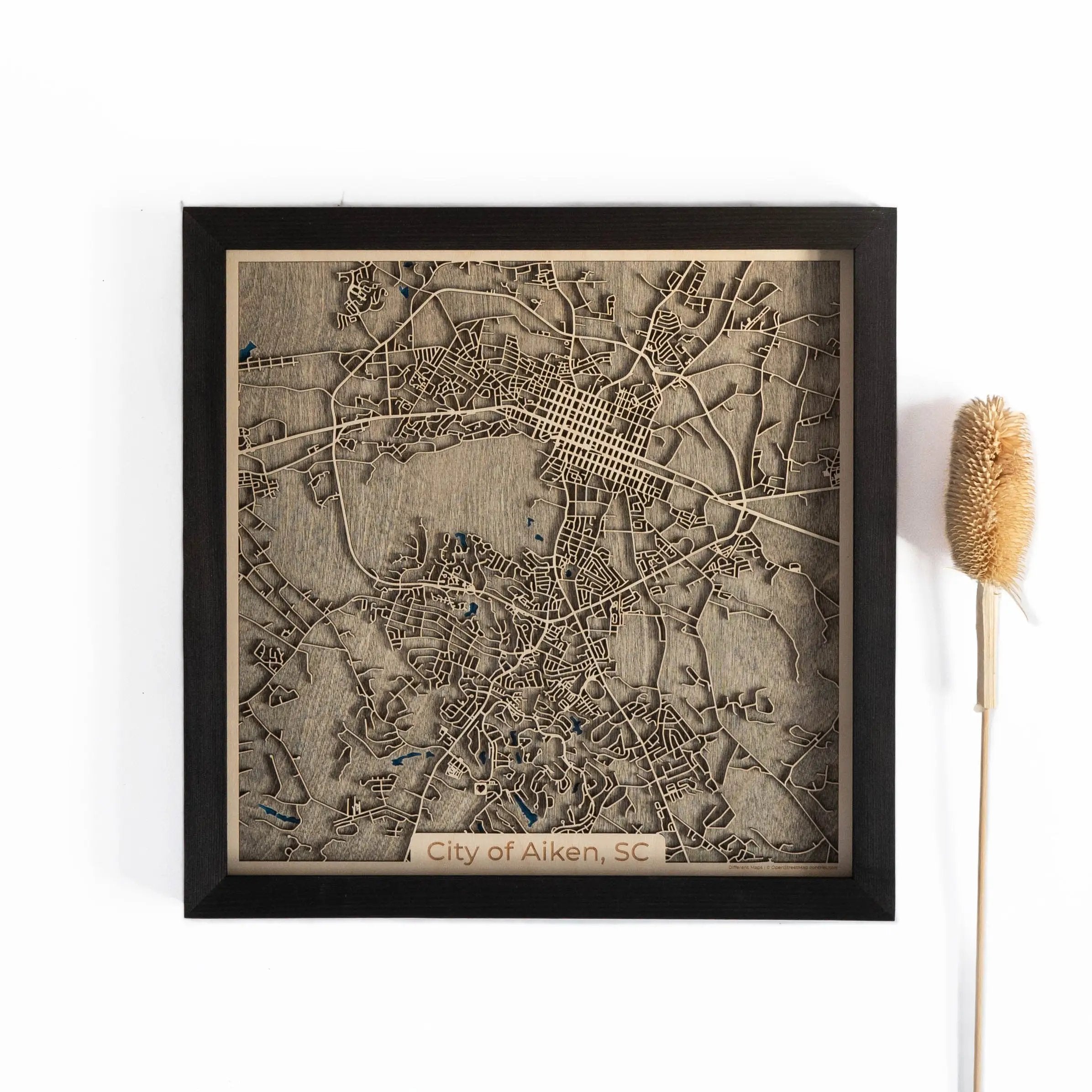 Aiken wood map
