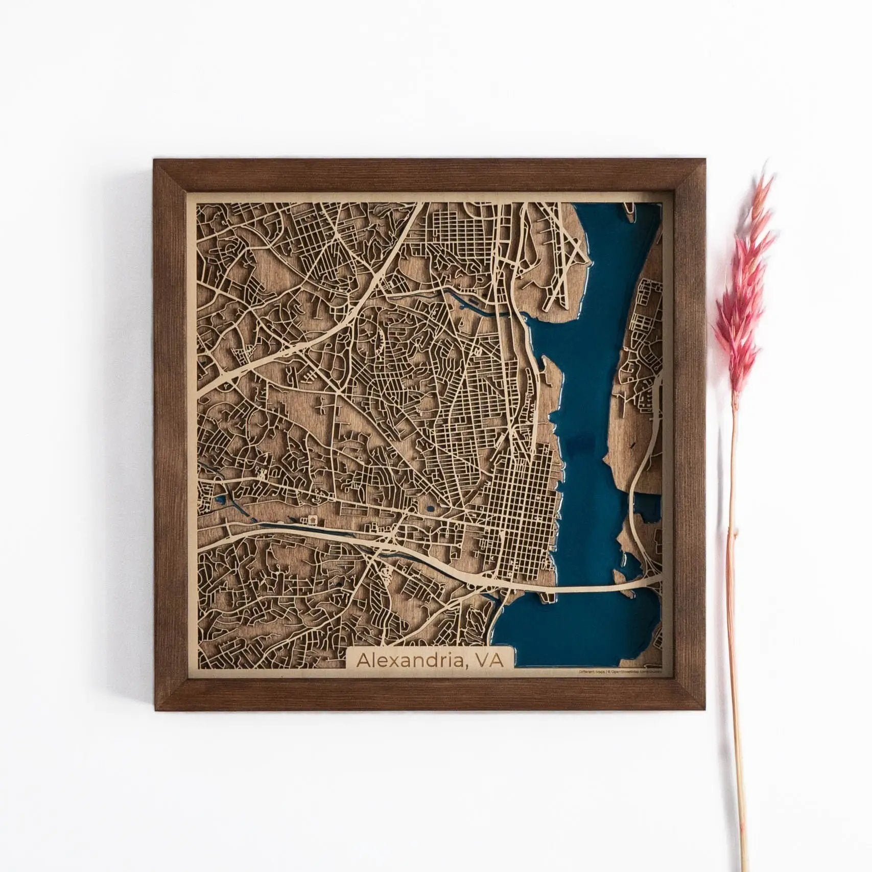 Alexandria wood Map