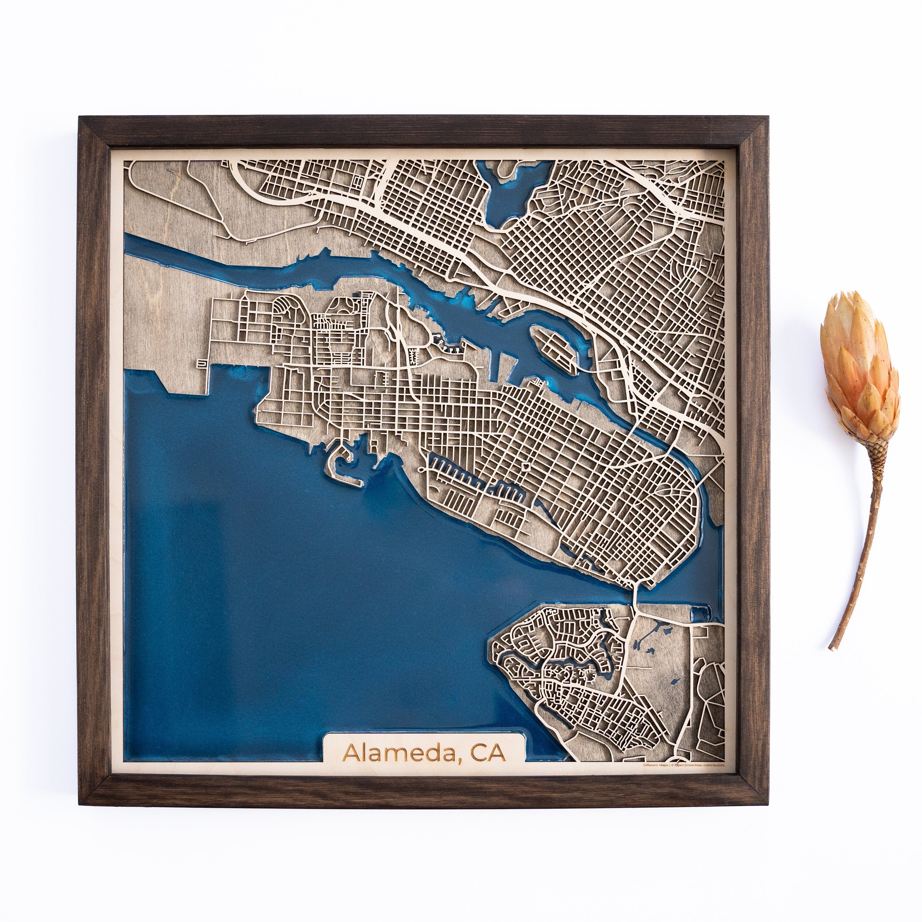 Alameda wood Map