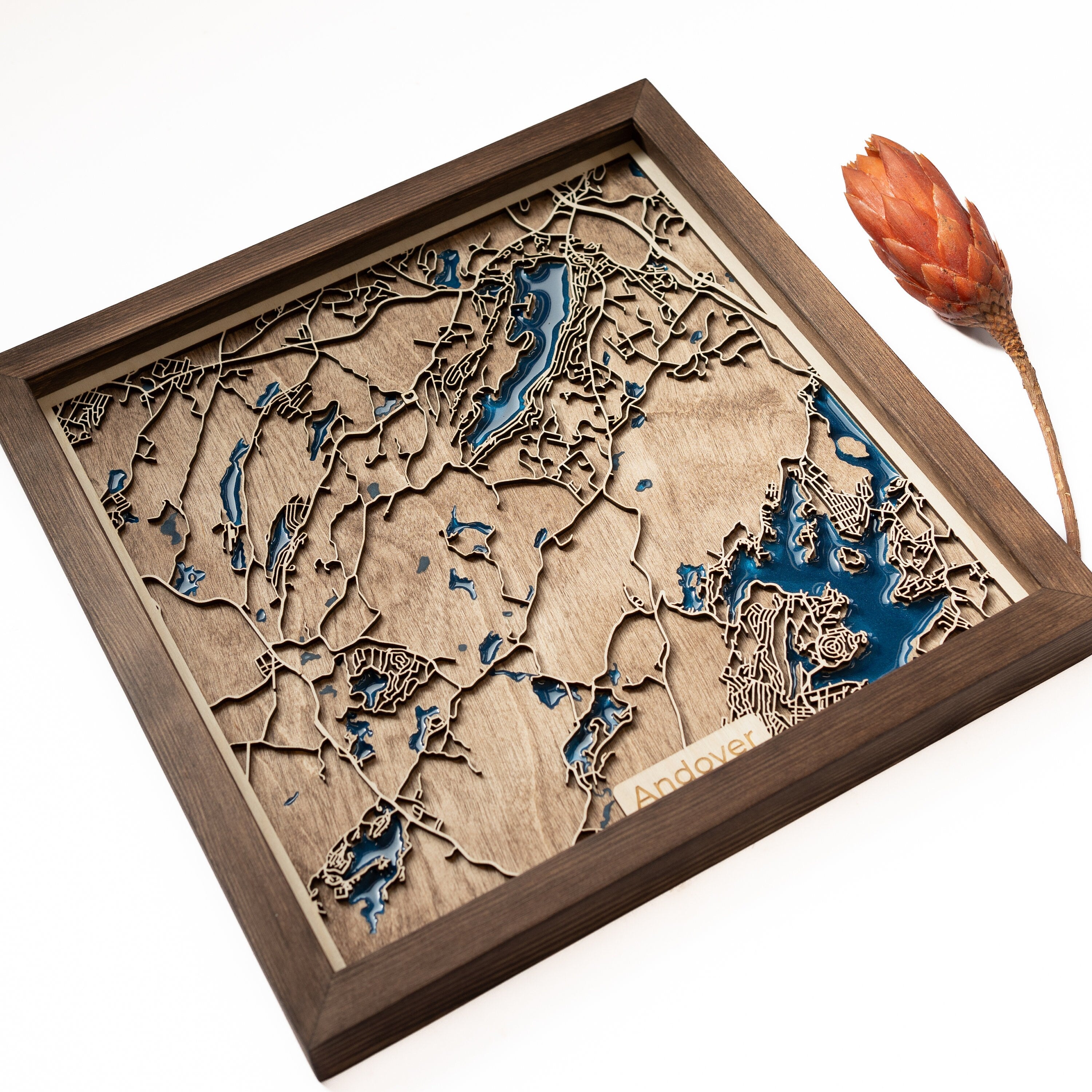 Andover wood map