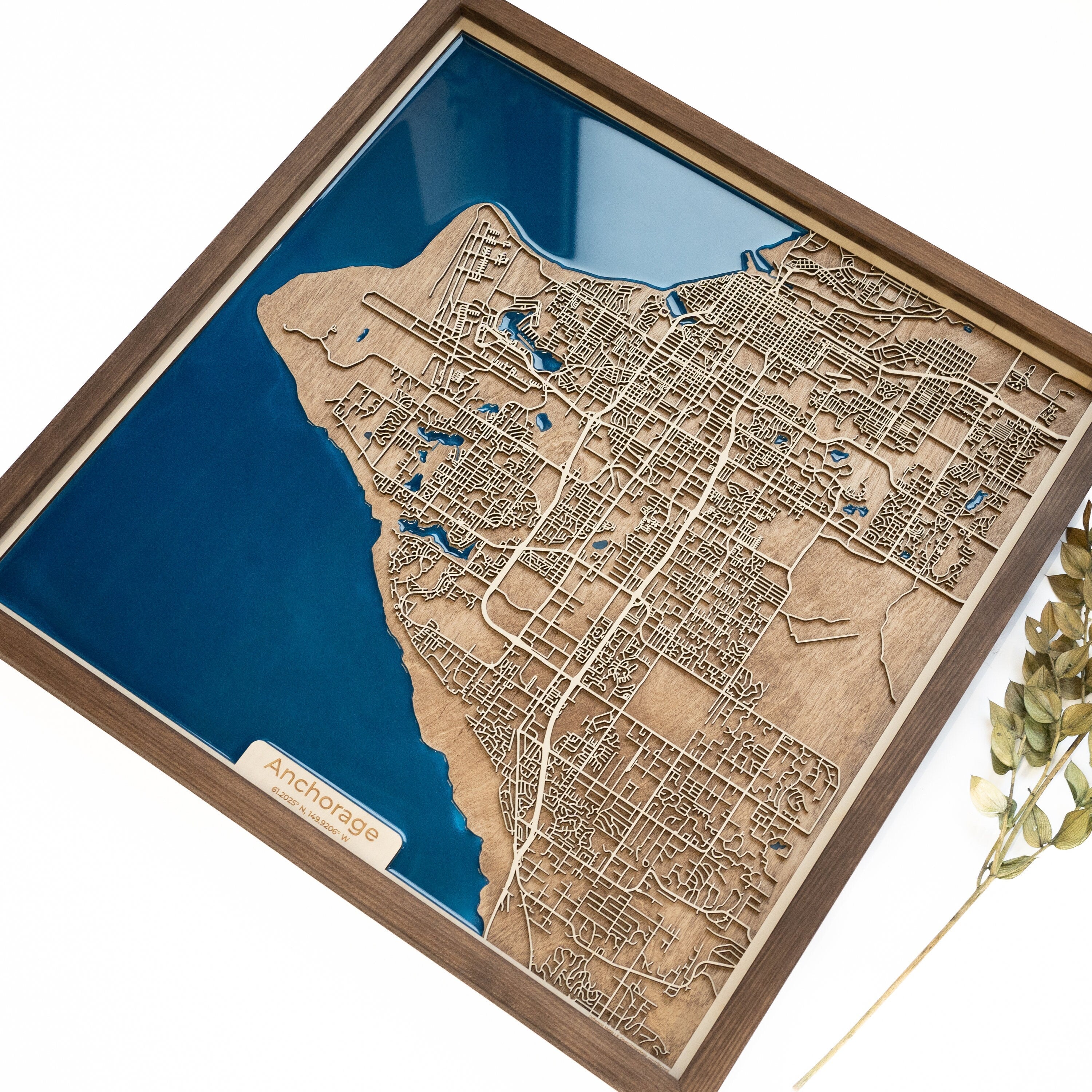 Anchorage map