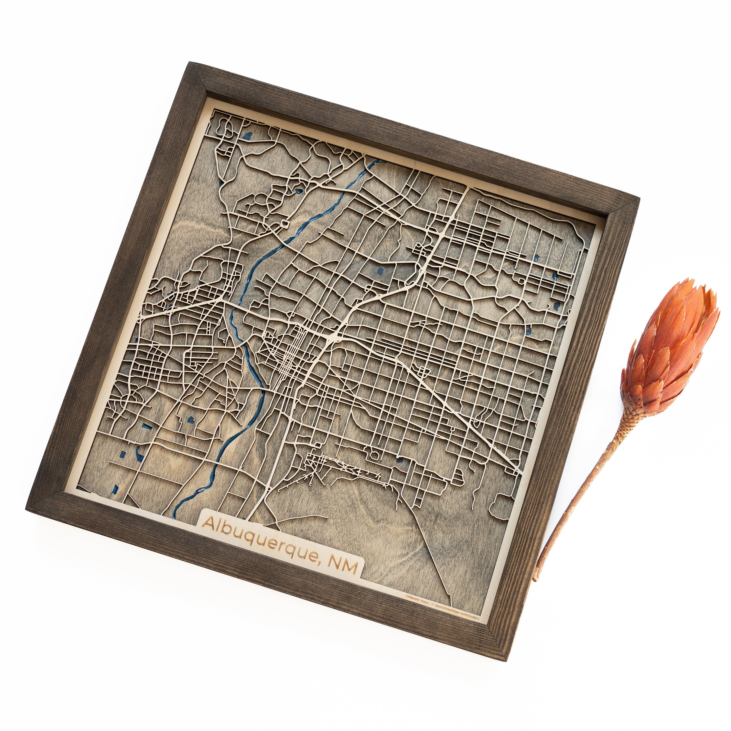 Albuquerque Map