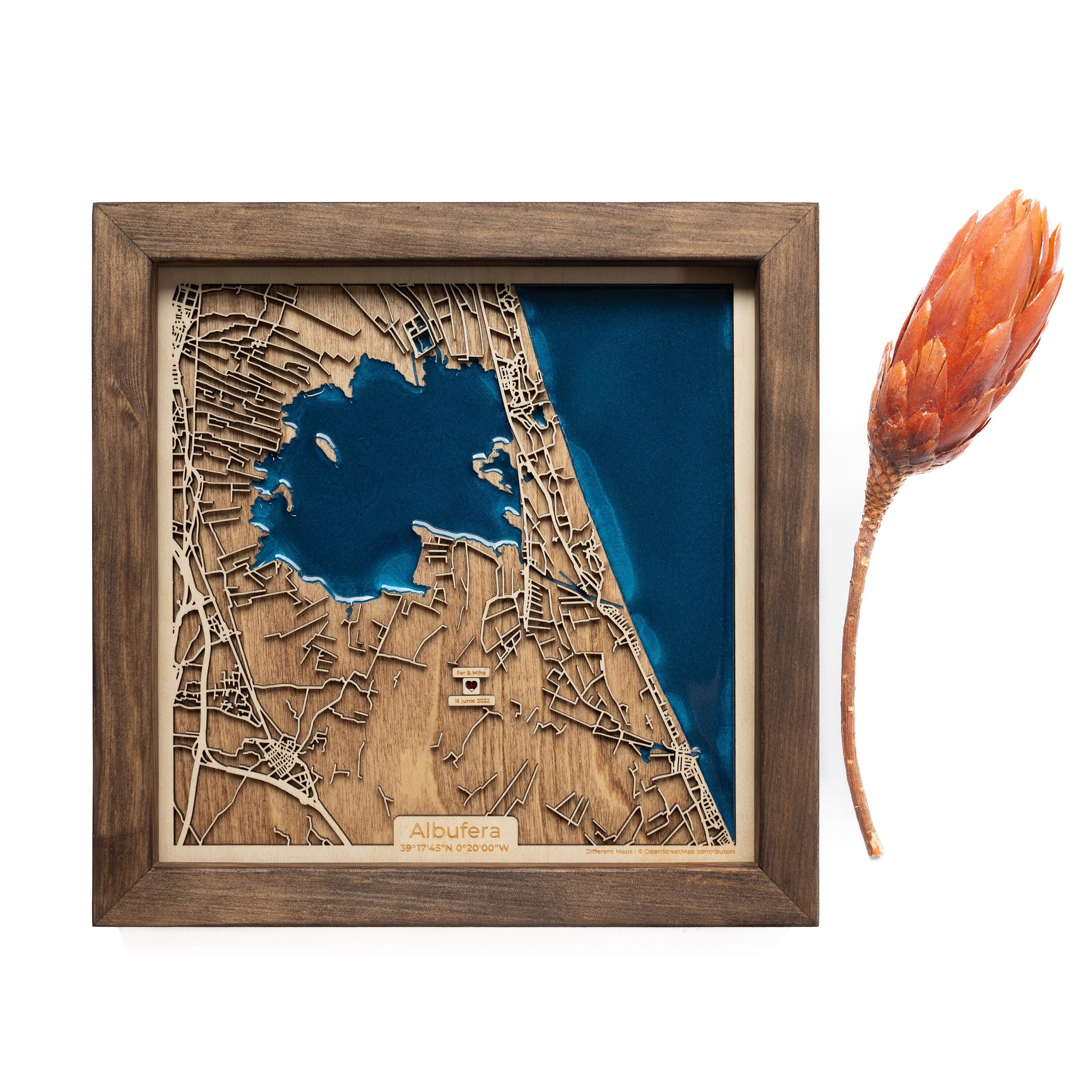 Albufera wood Map