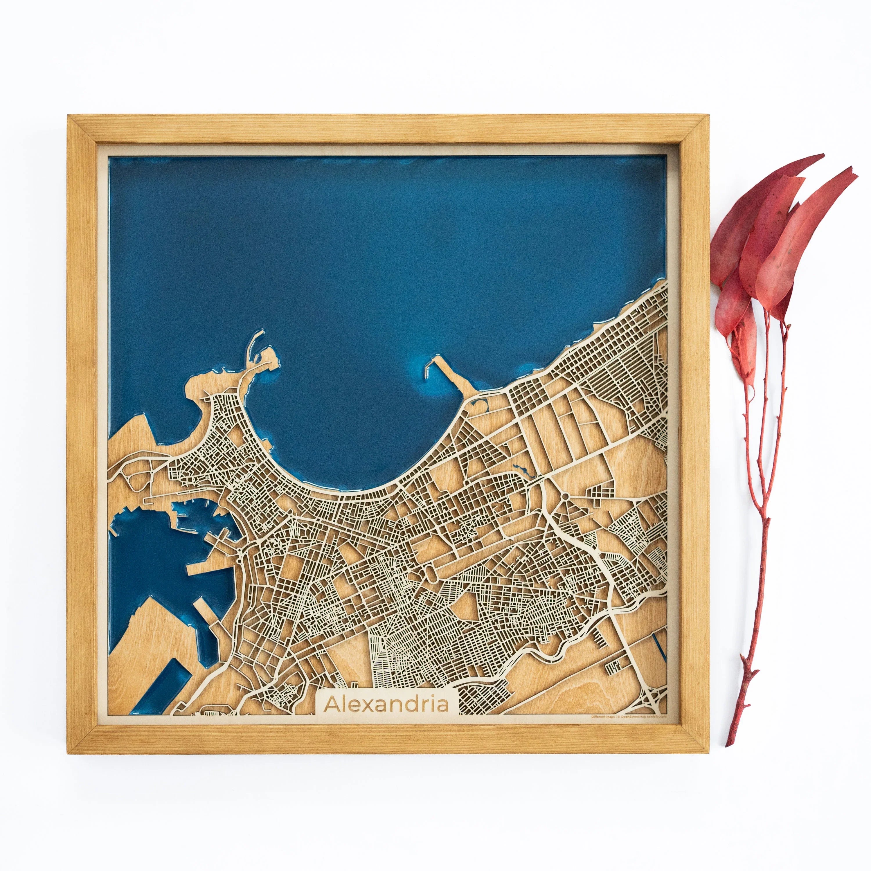 Alexandria Wood Map