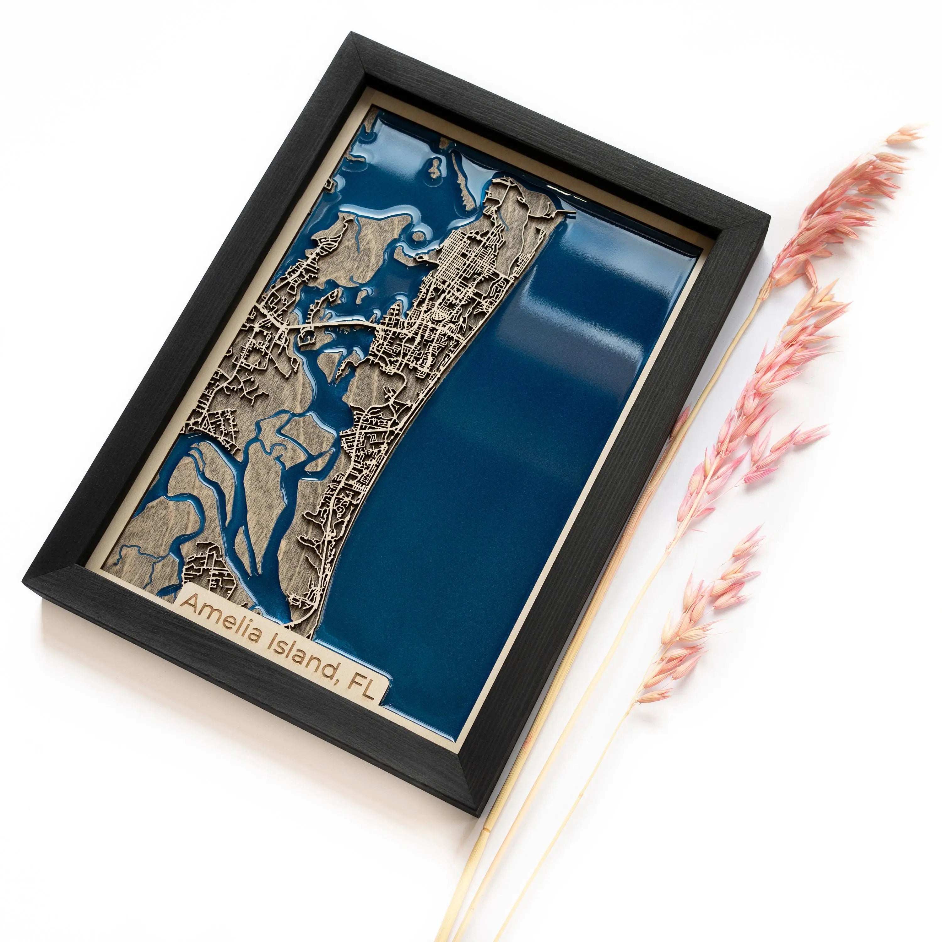 Amelia Island map