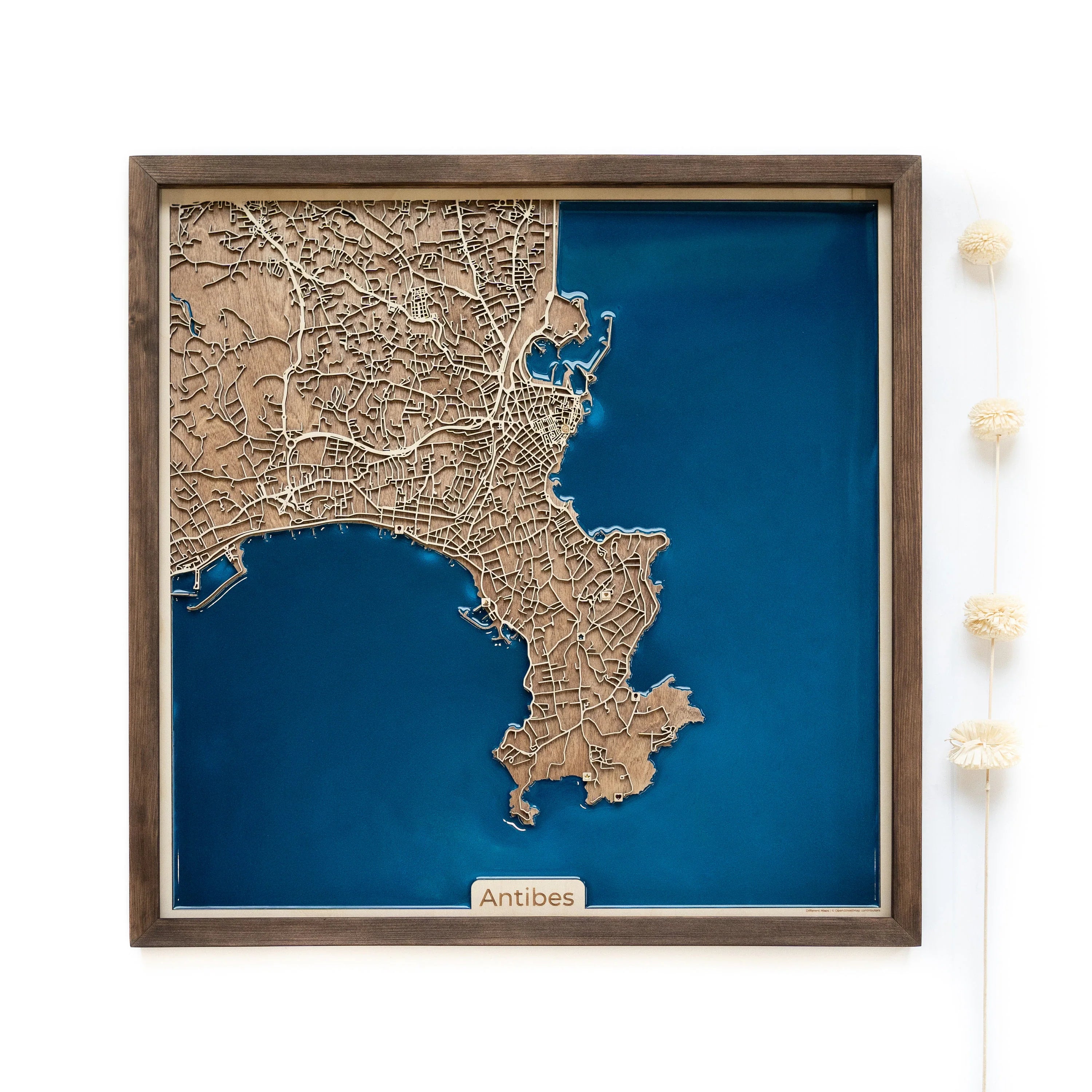 Antibes map
