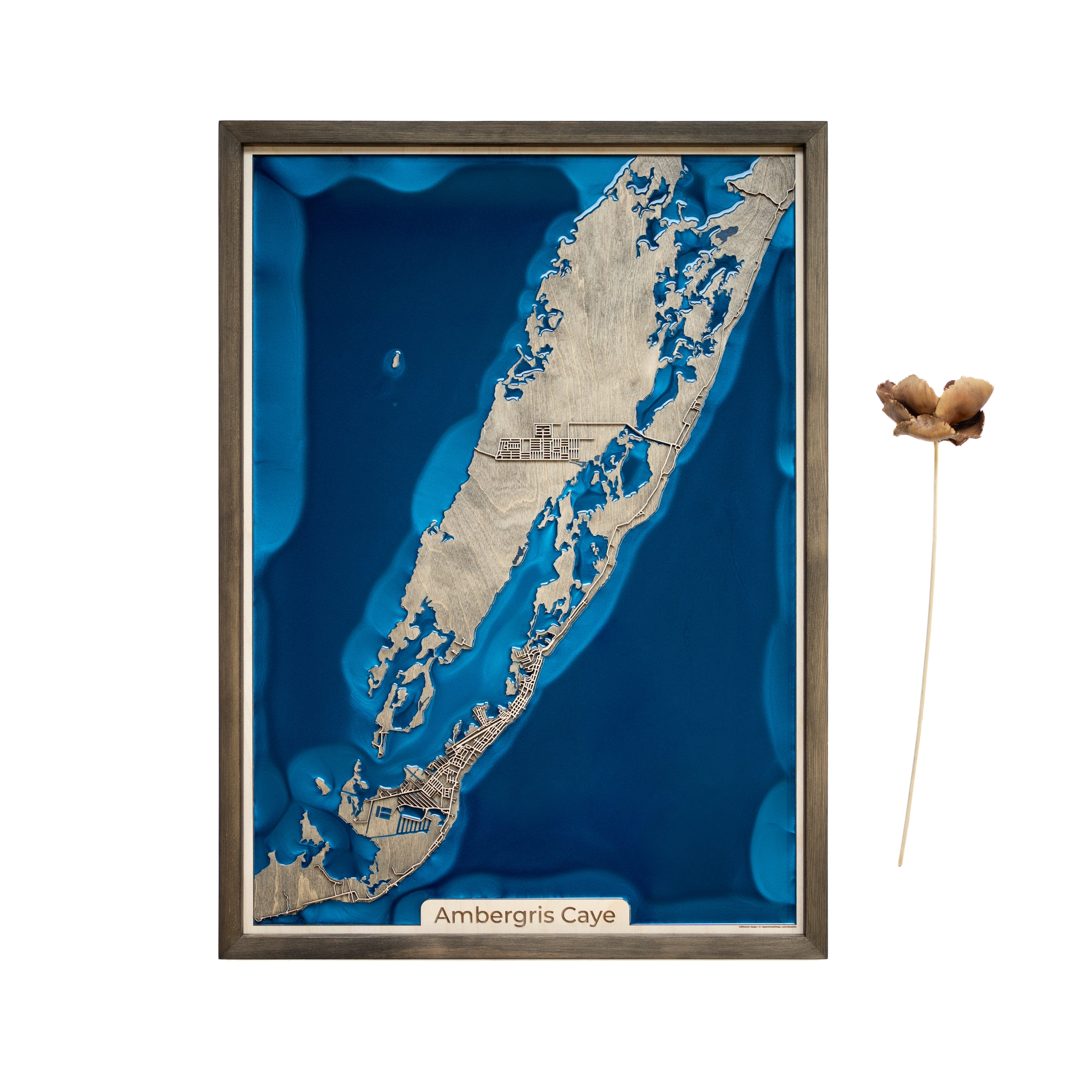 Ambergris Caye Map 