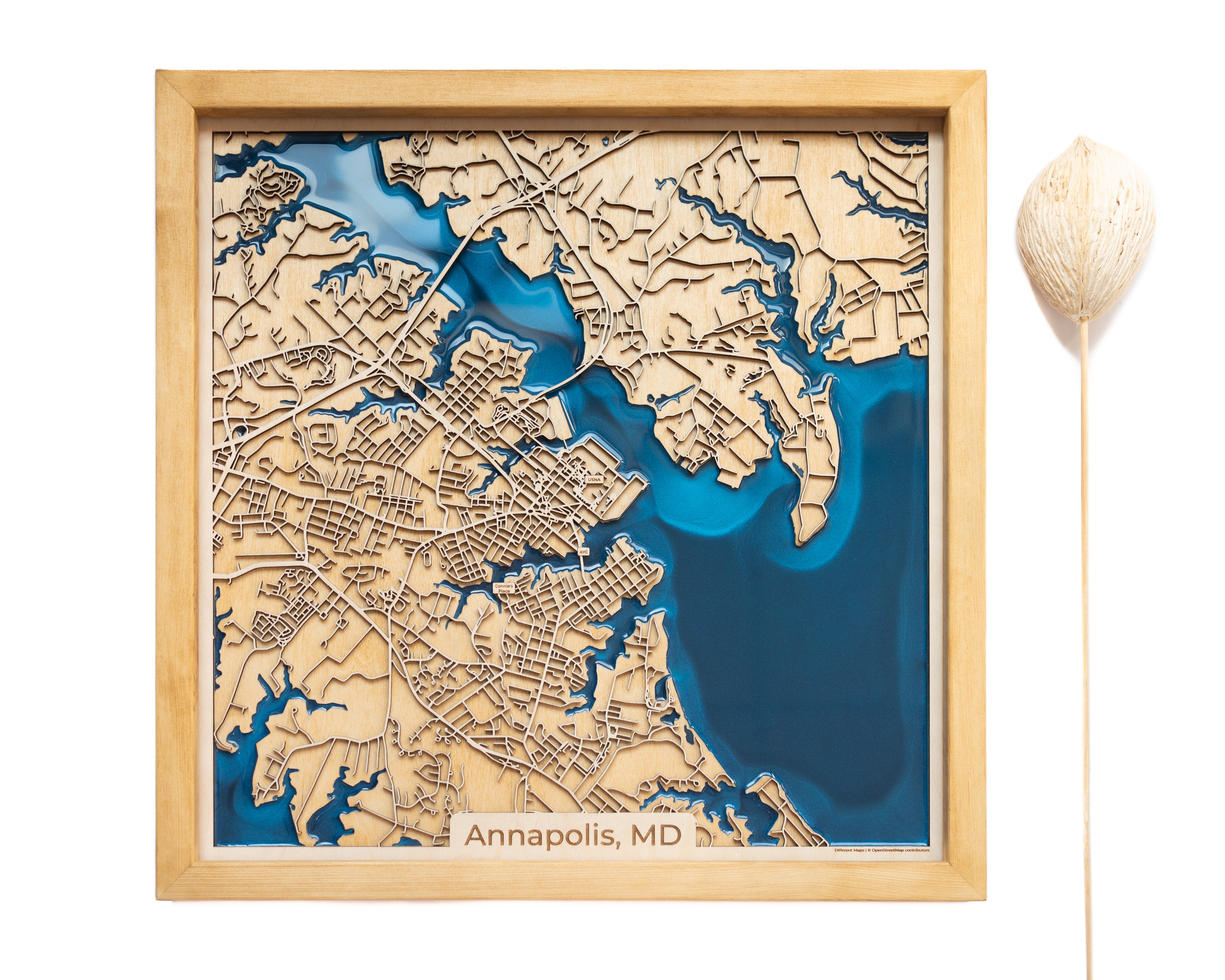 Annapolis Wooden Map