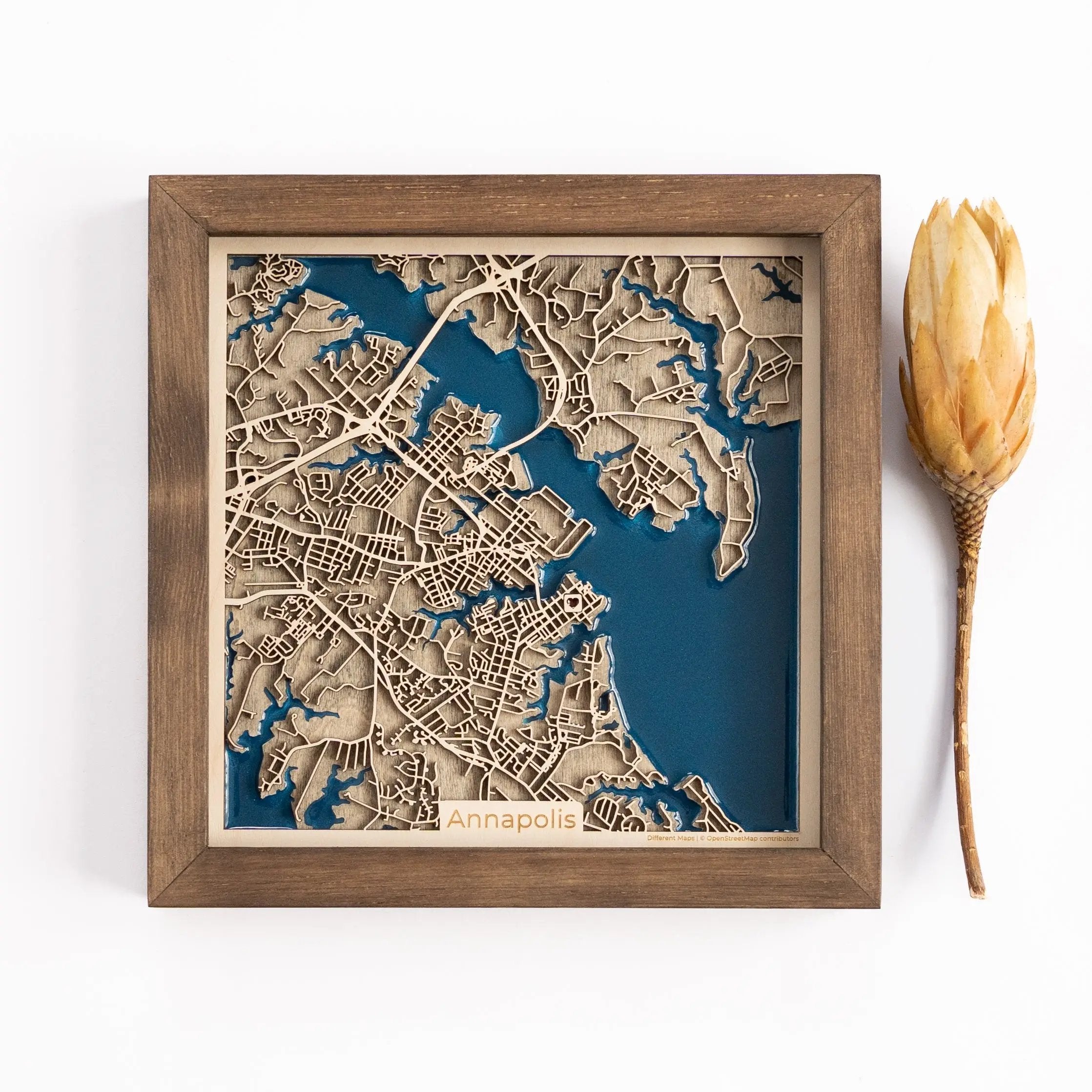 Annapolis wood map