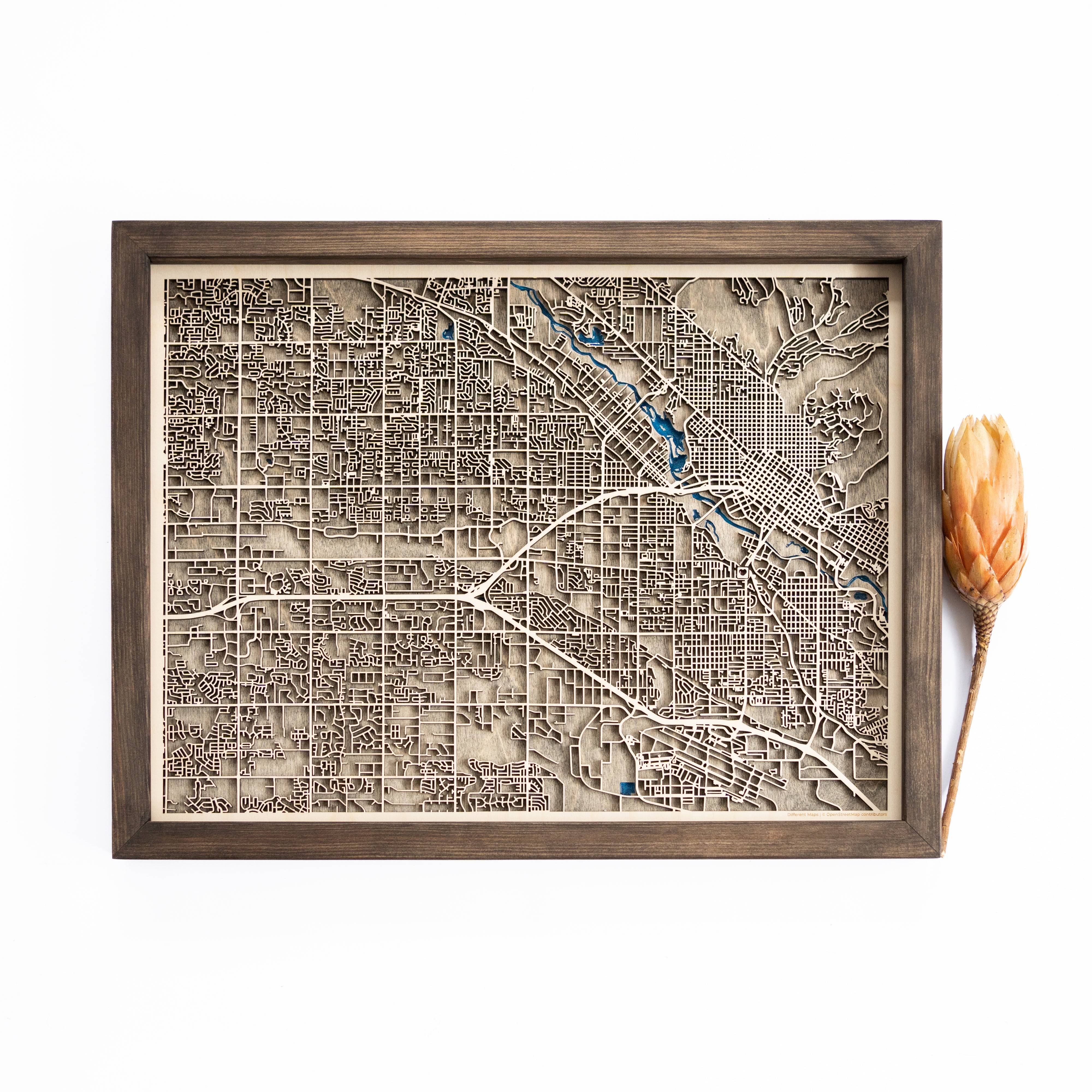 Boise Wood Map