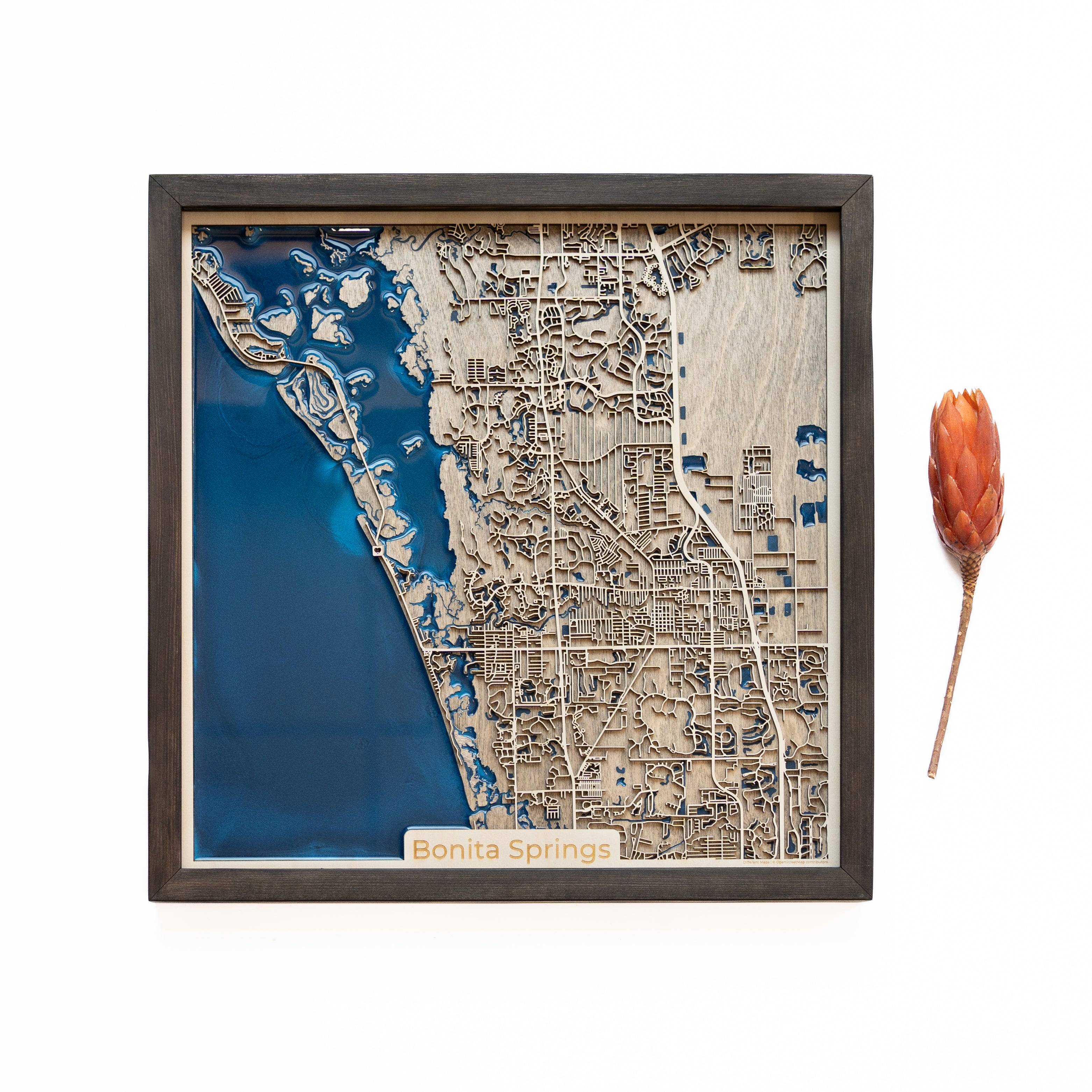 Bonita Springs Wood Map