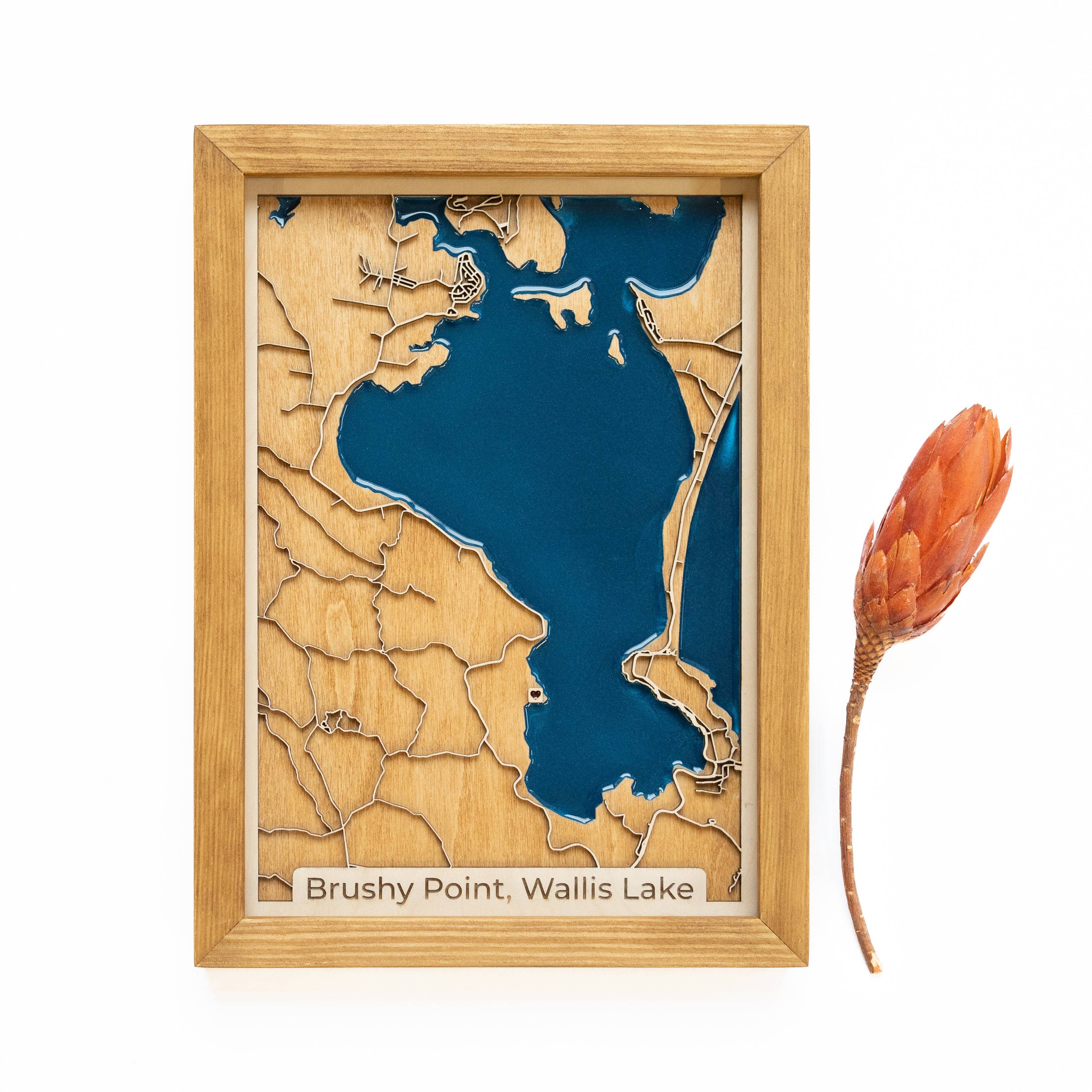 Brushy Point Wood Map