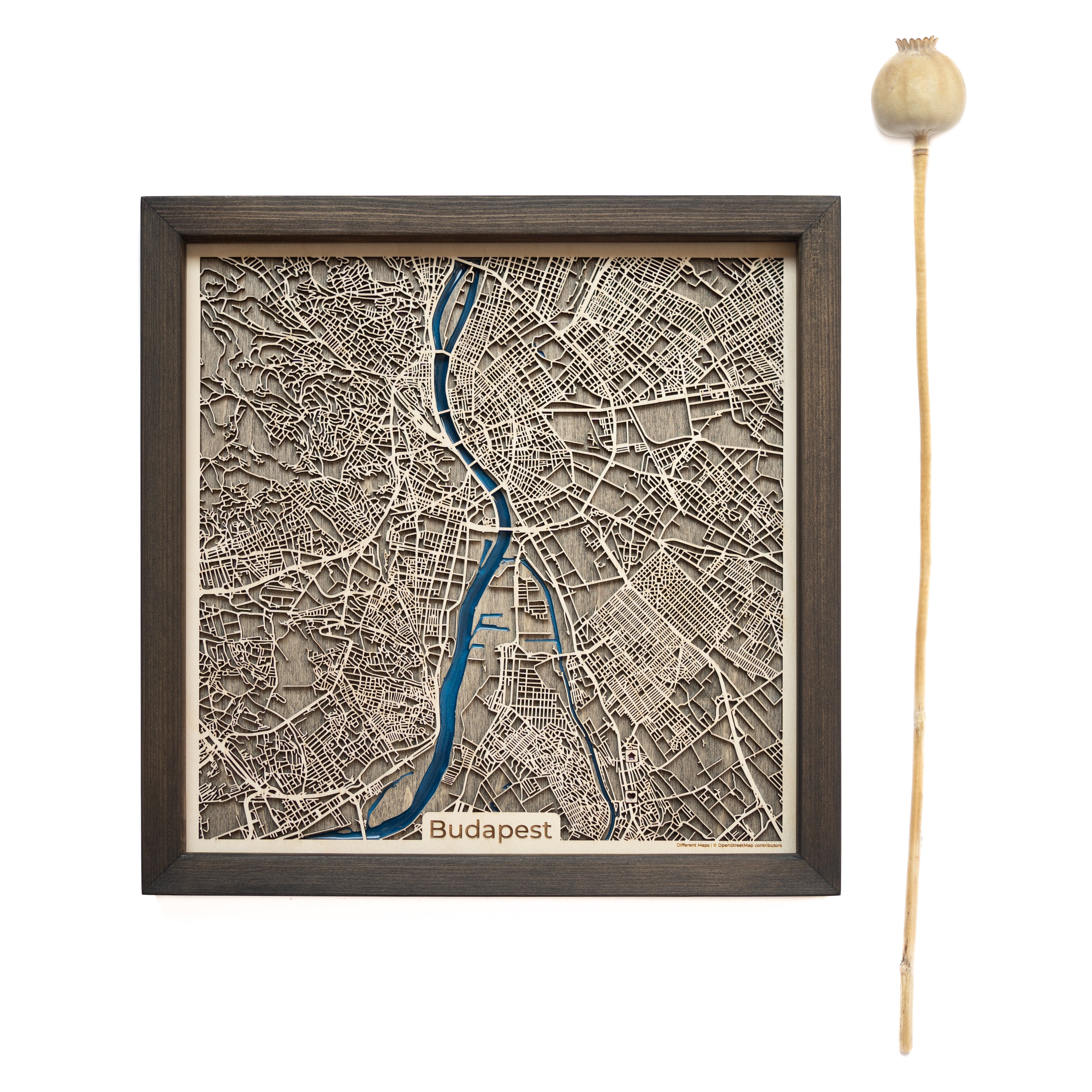 Budapest Wooden Framed Map