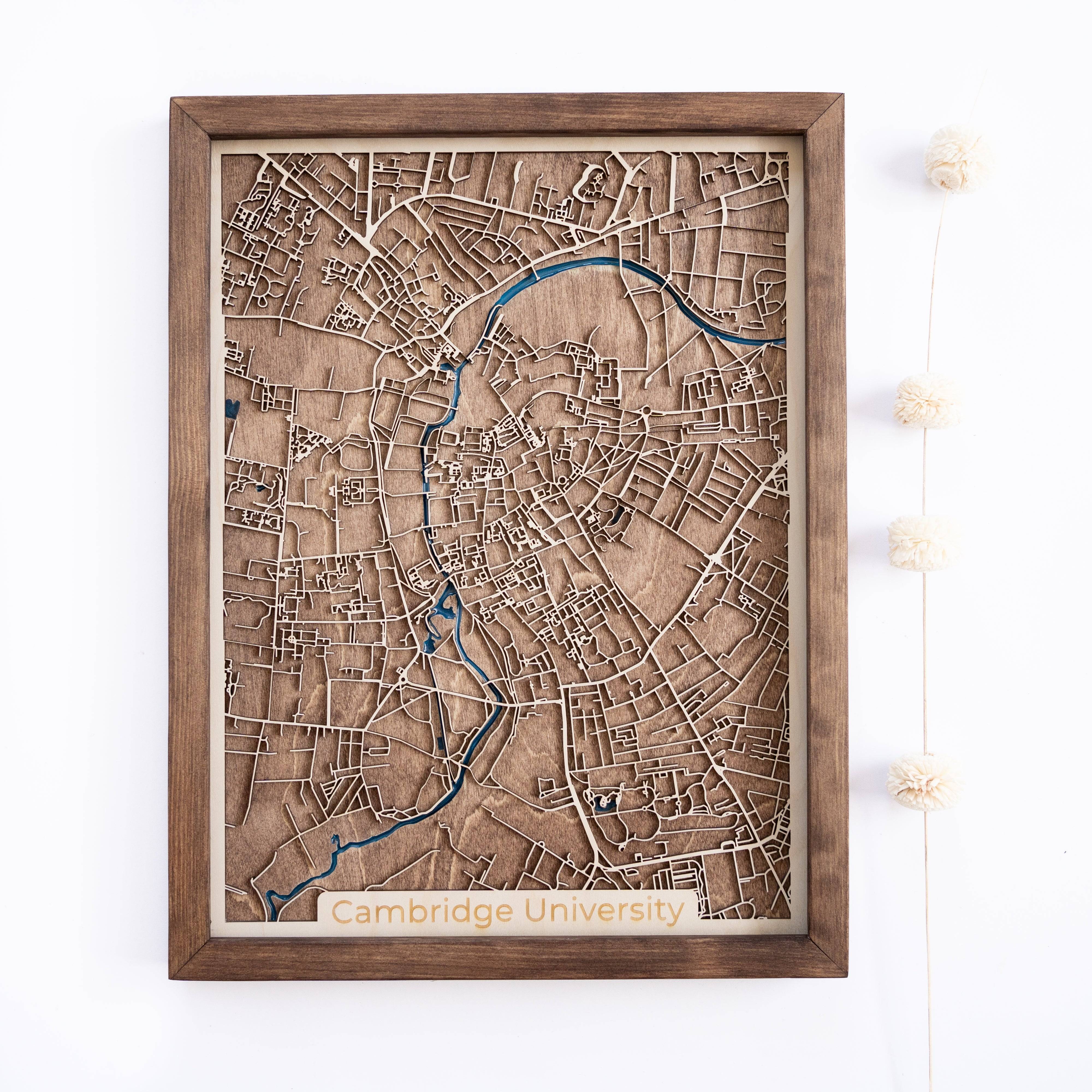 Cambridge University Wood Map