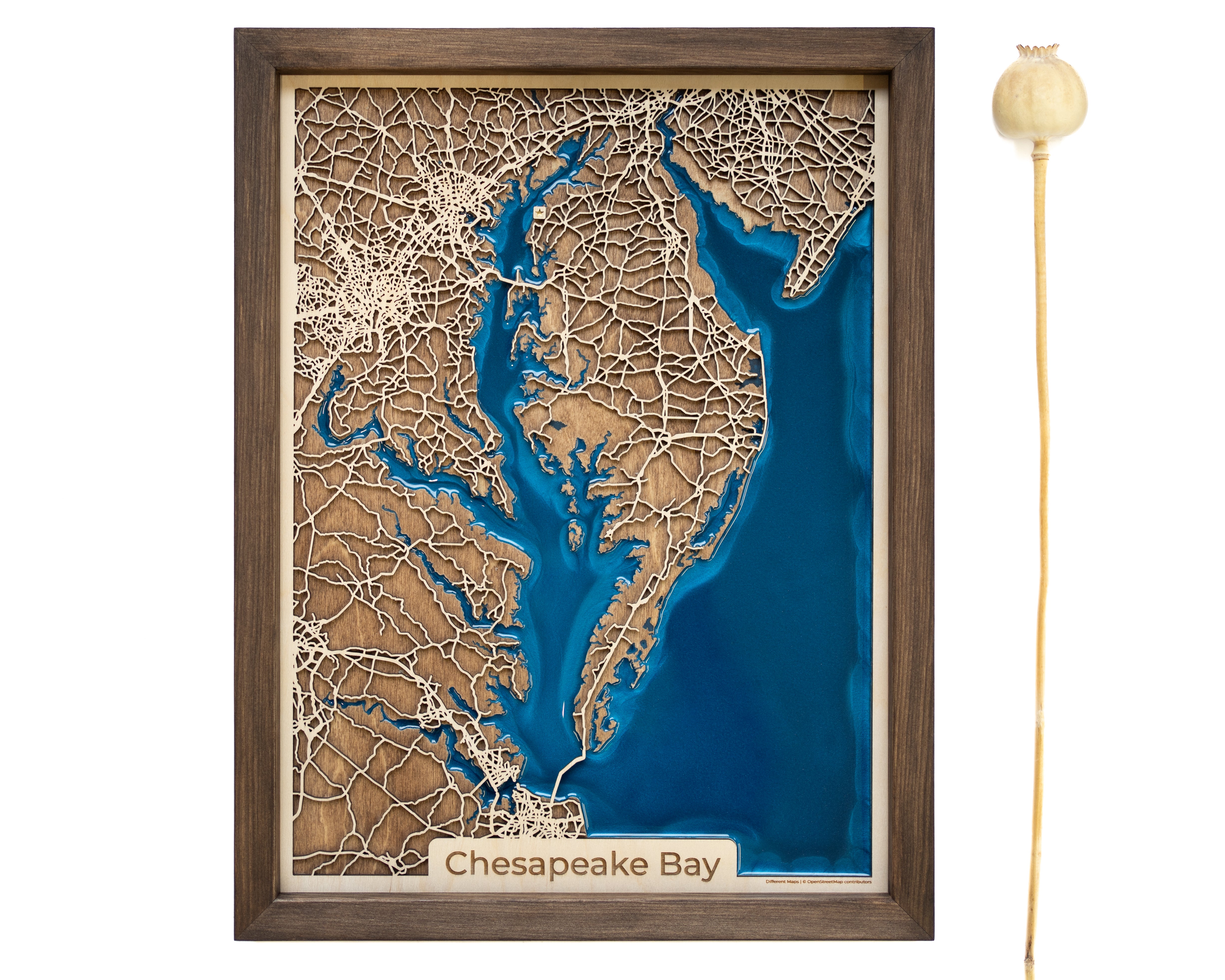 Chesapeake Bay Custom Map