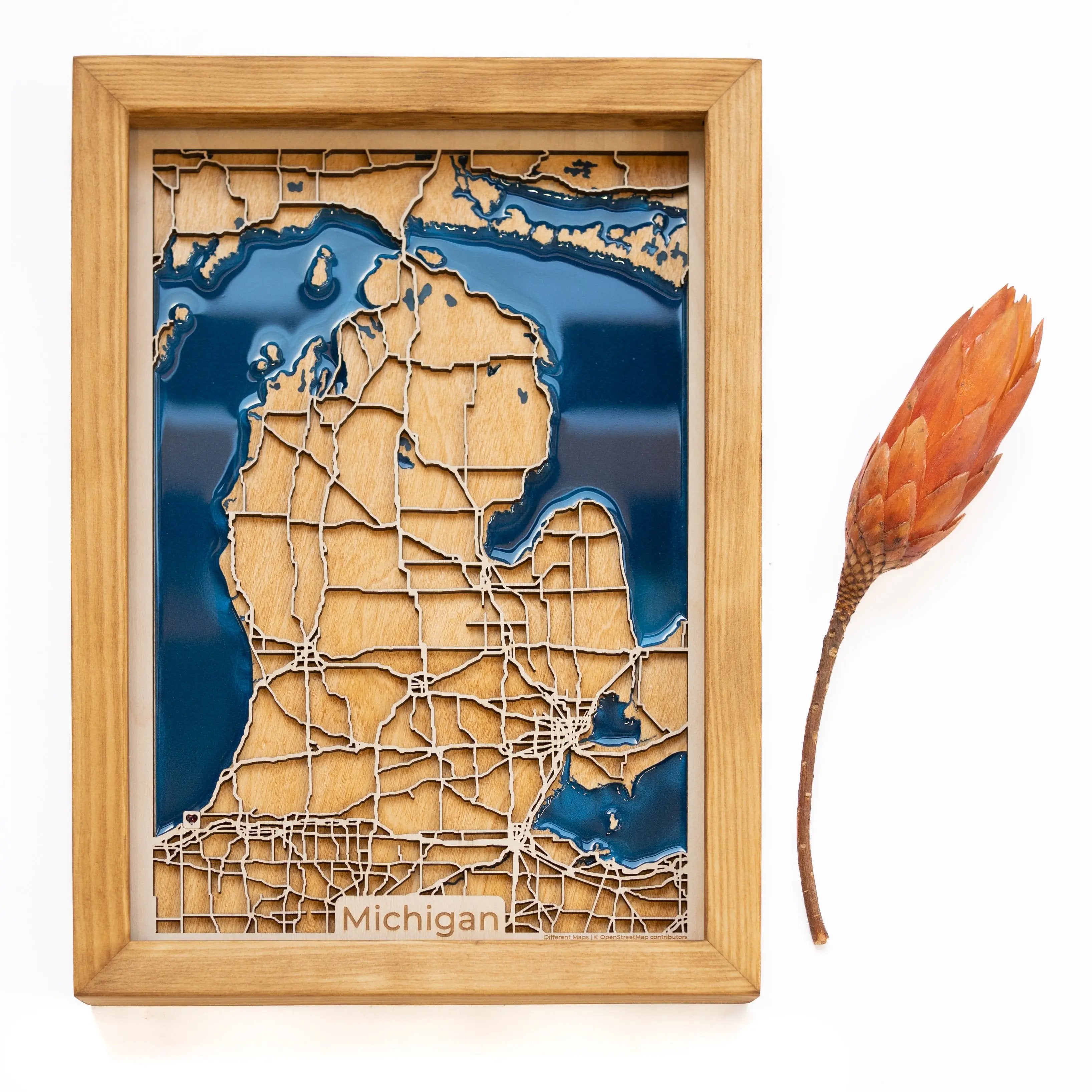 Michigan Wood Map