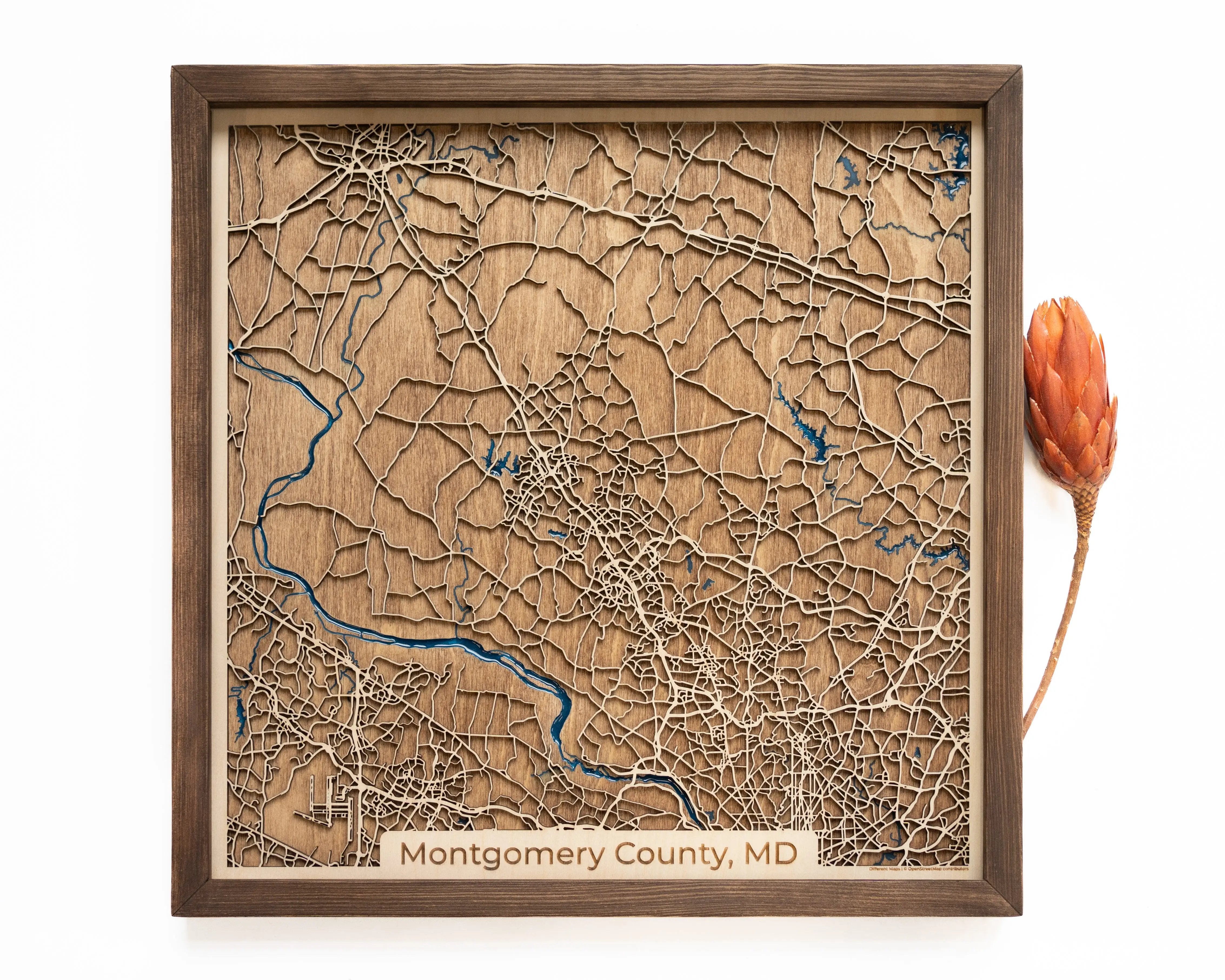 Montgomery County Wood Map