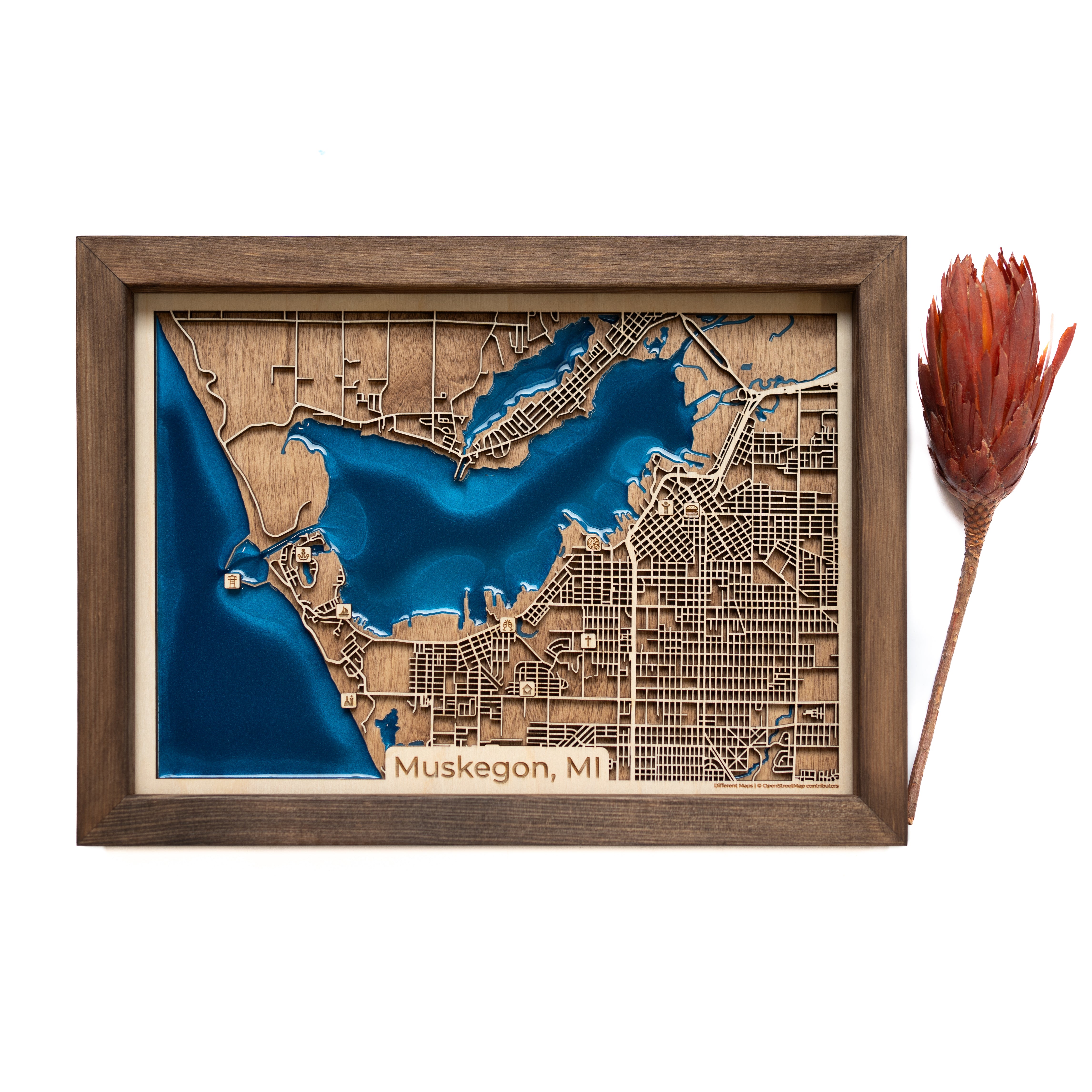 Muskegon MI Map