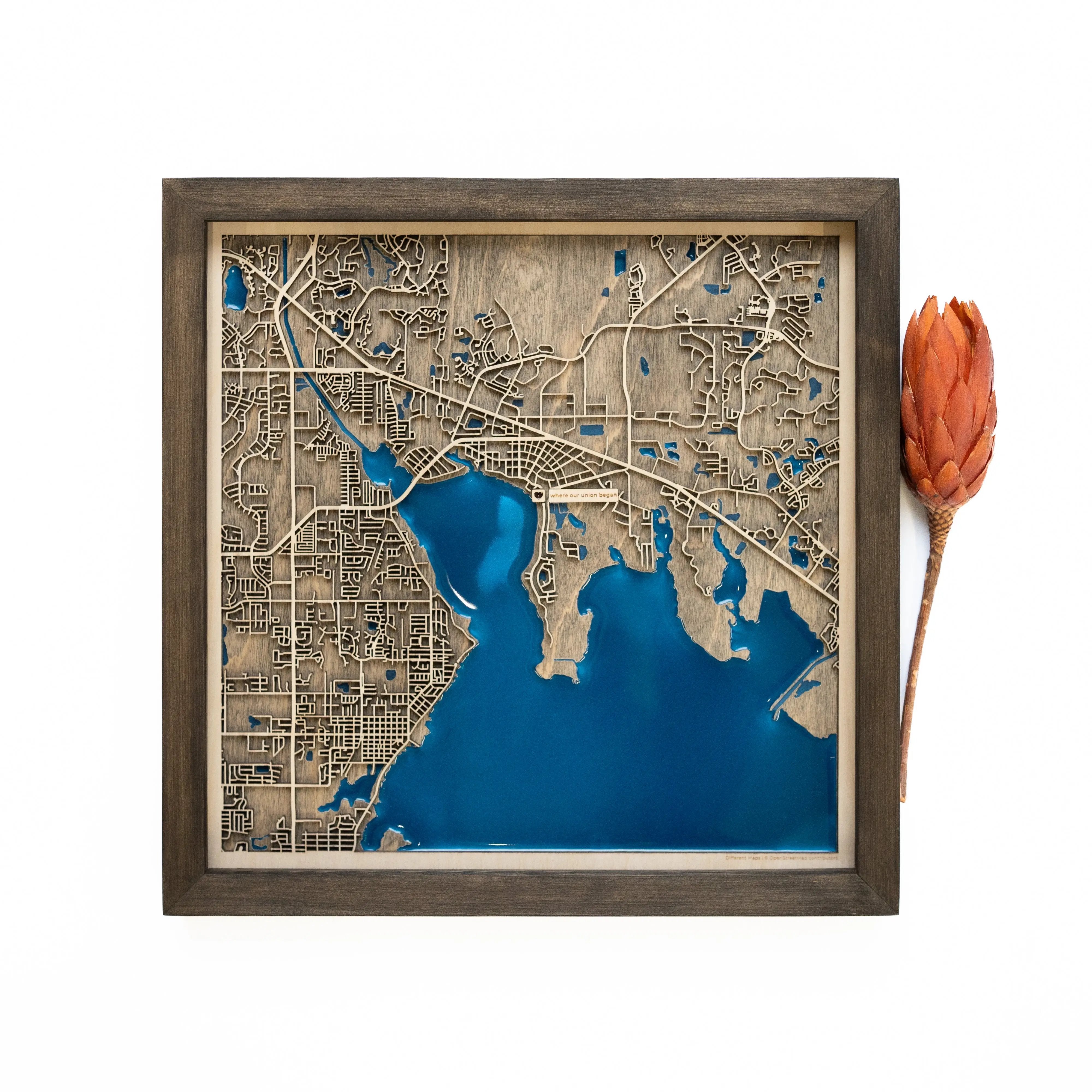 Oldsmar Wood Map