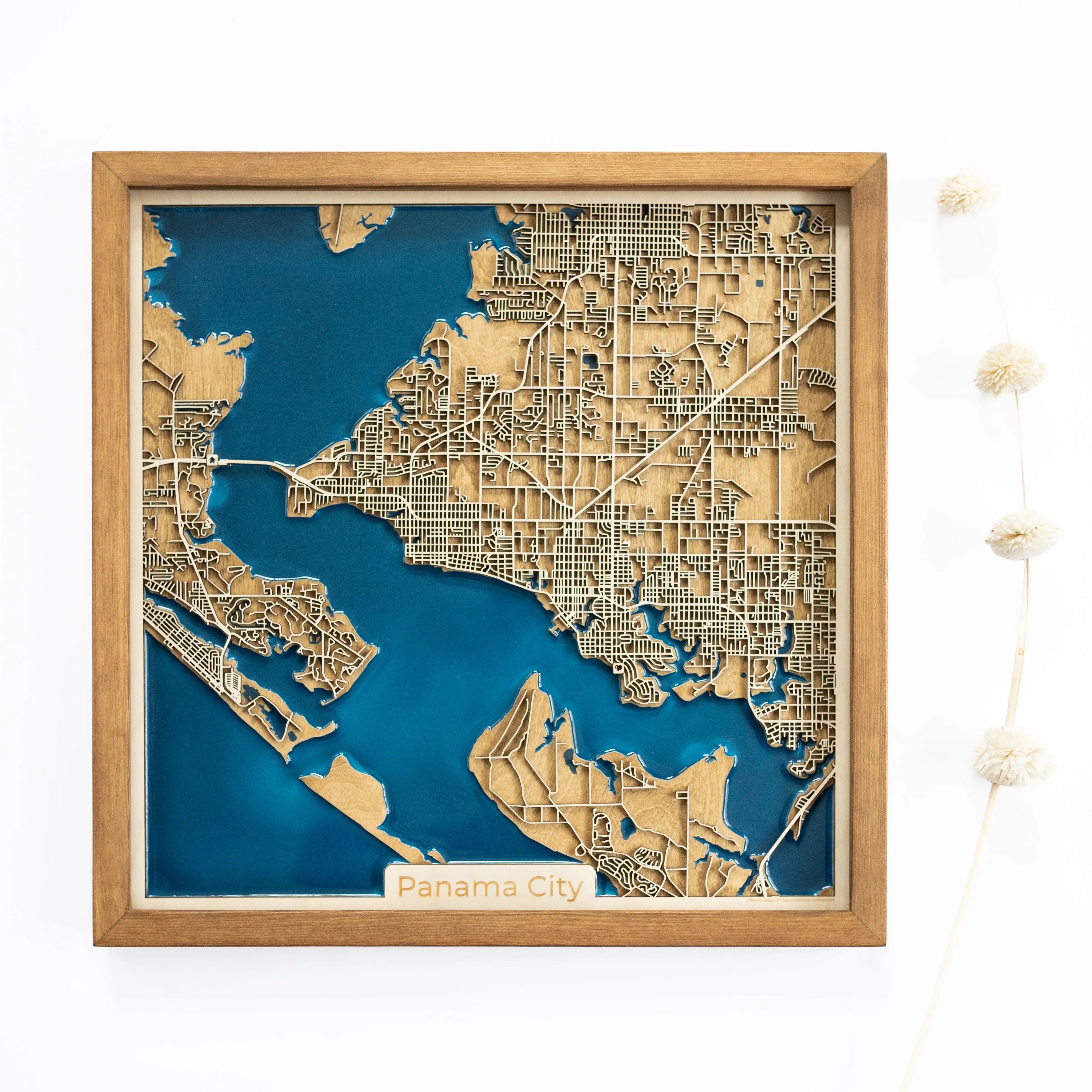 Panama City Wood Map