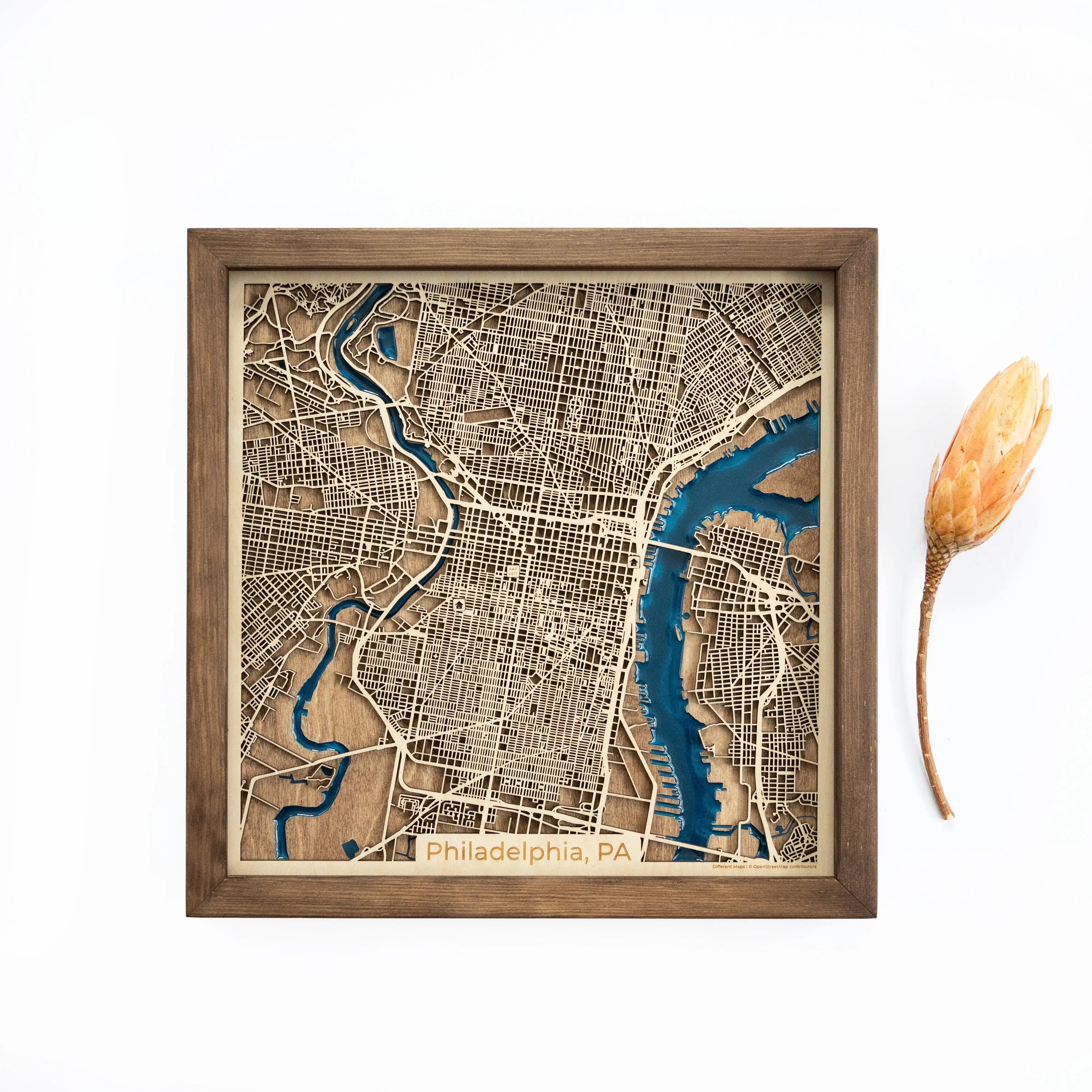 Philadelphia Wood Map