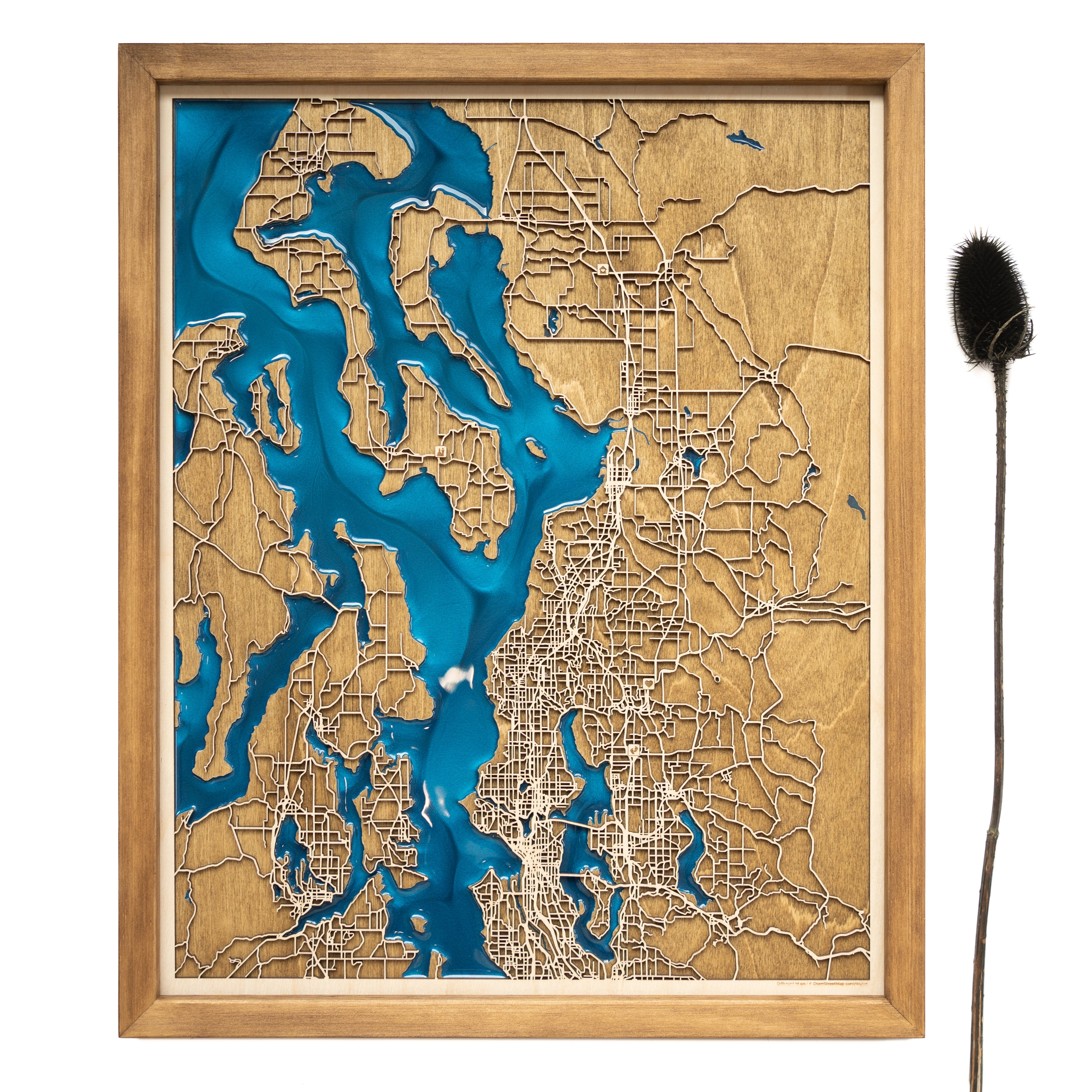 Puget Sound custom Map