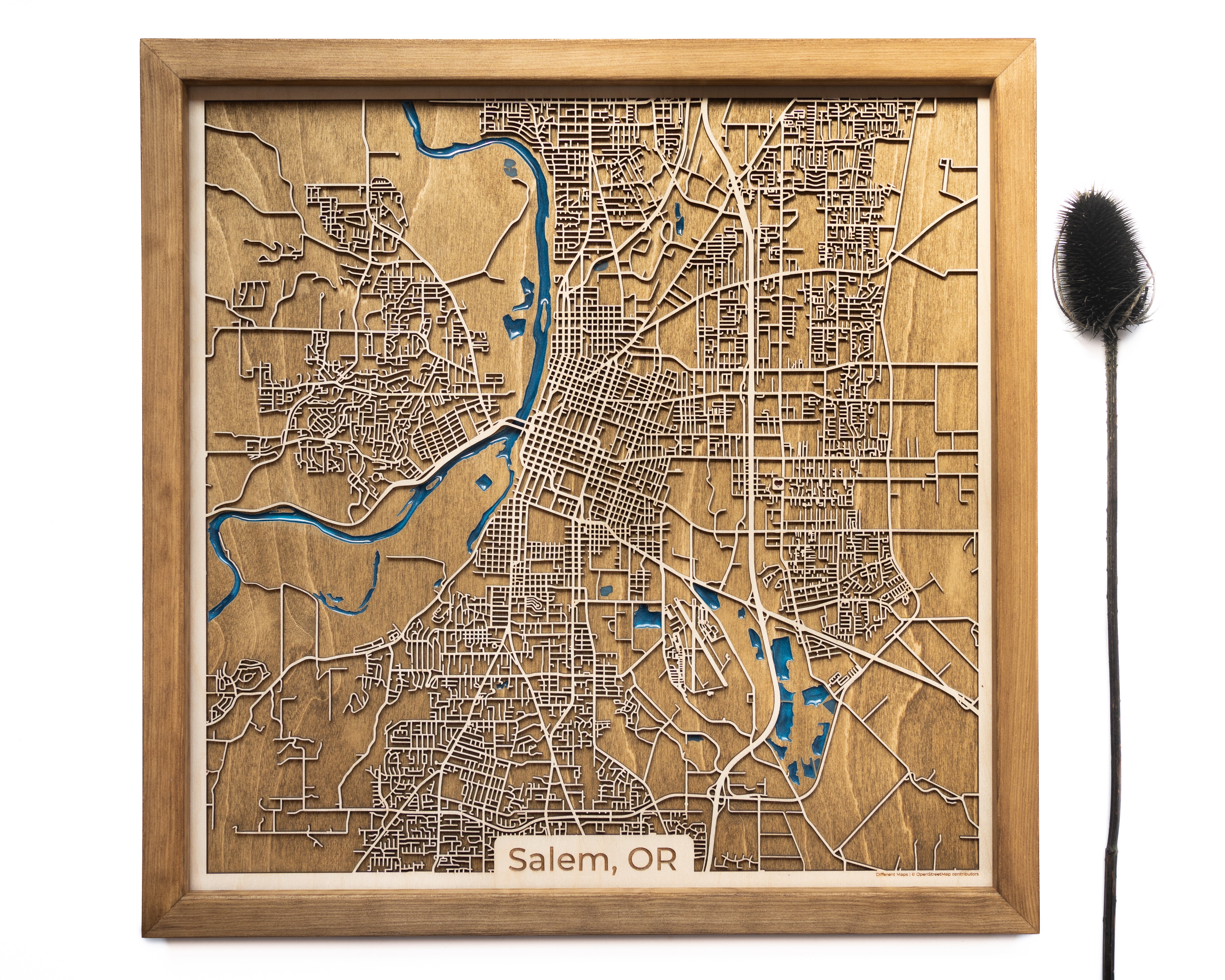 Salem Oregon Wood Map