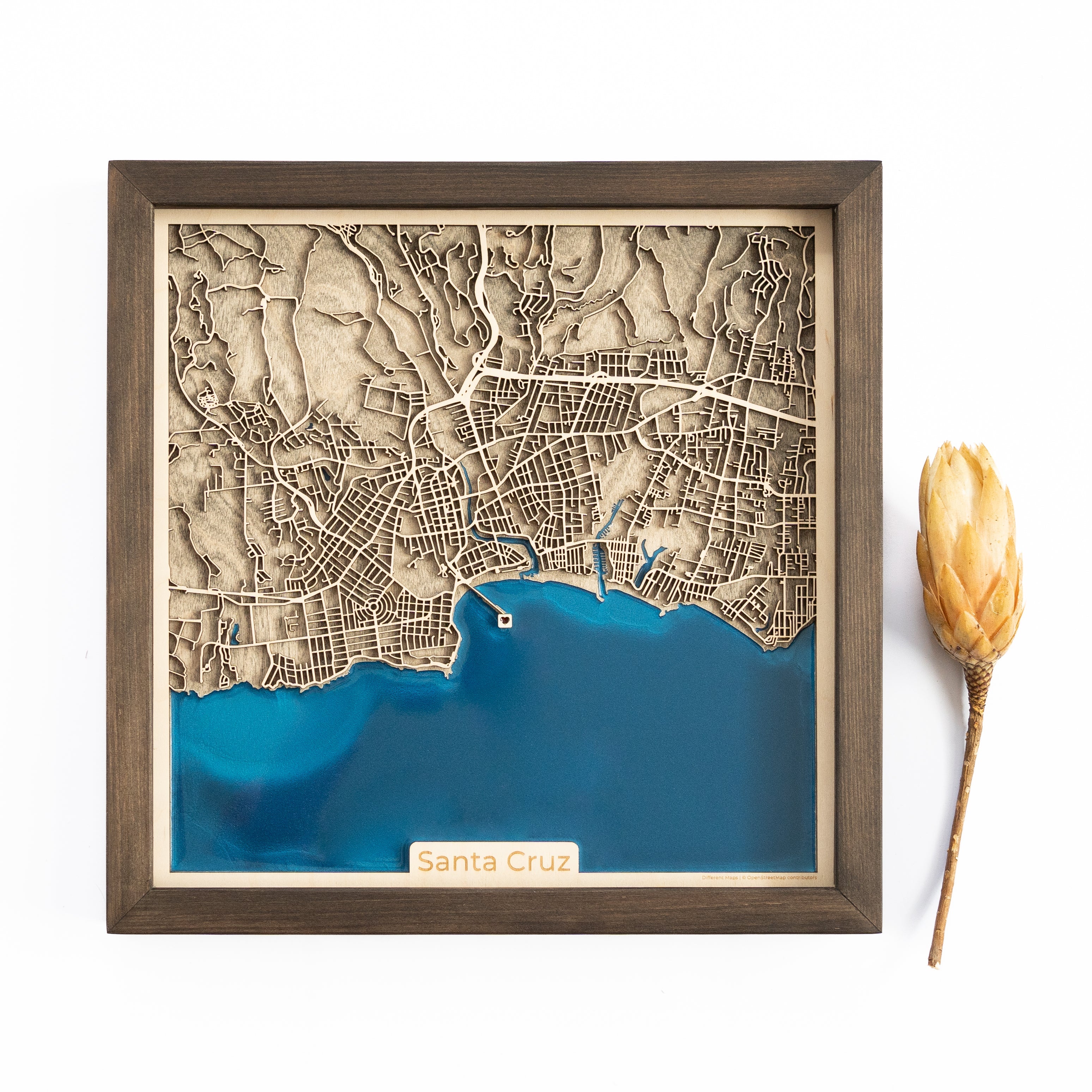 Santa Cruz Wood Map