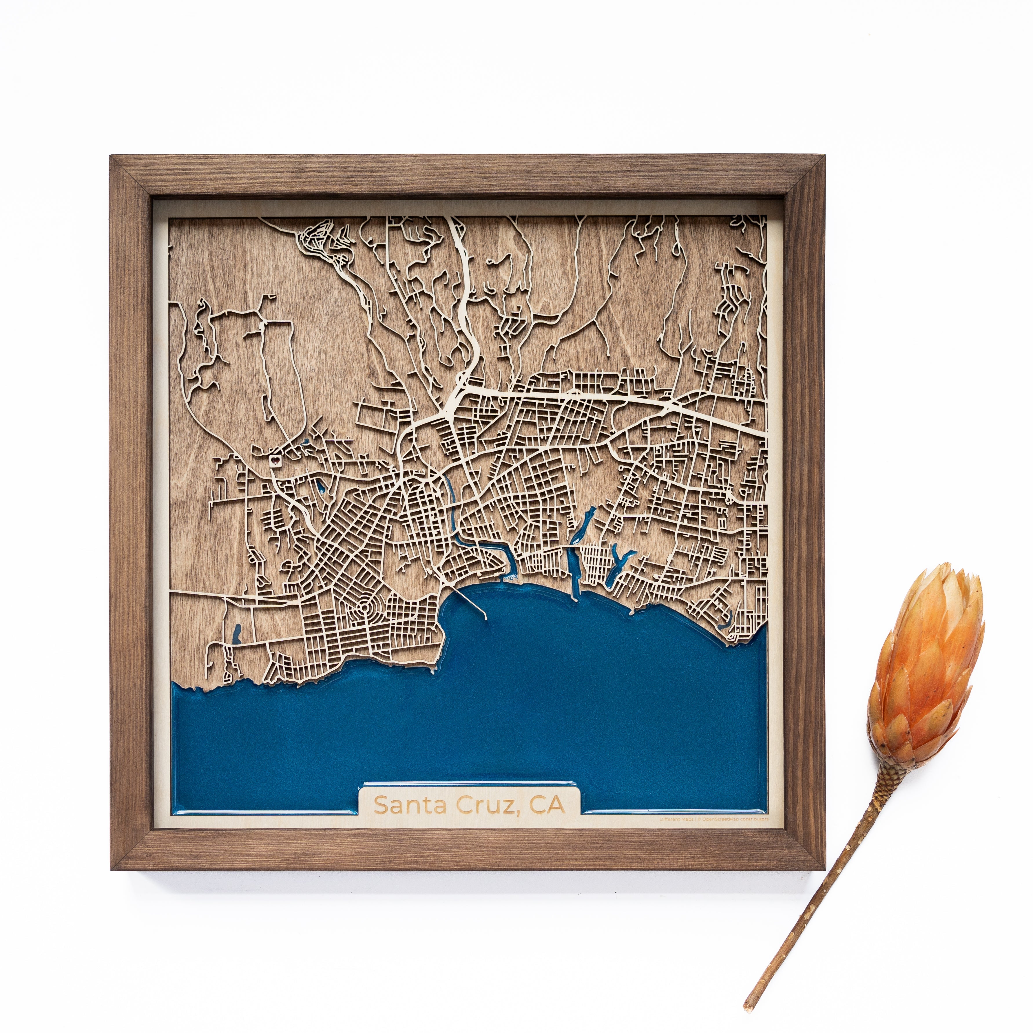 Santa Cruz Wood Map