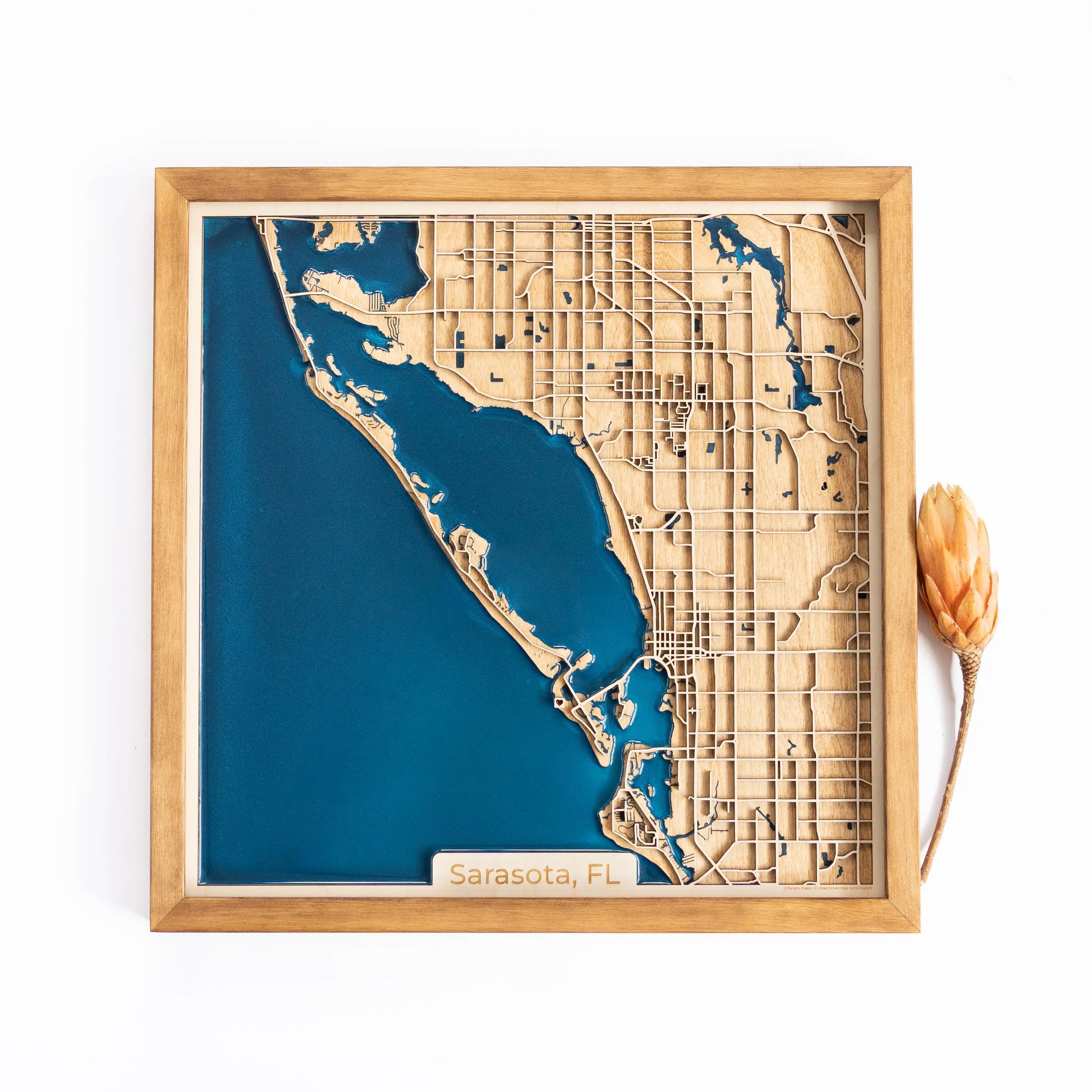 Sarasota Wood Map