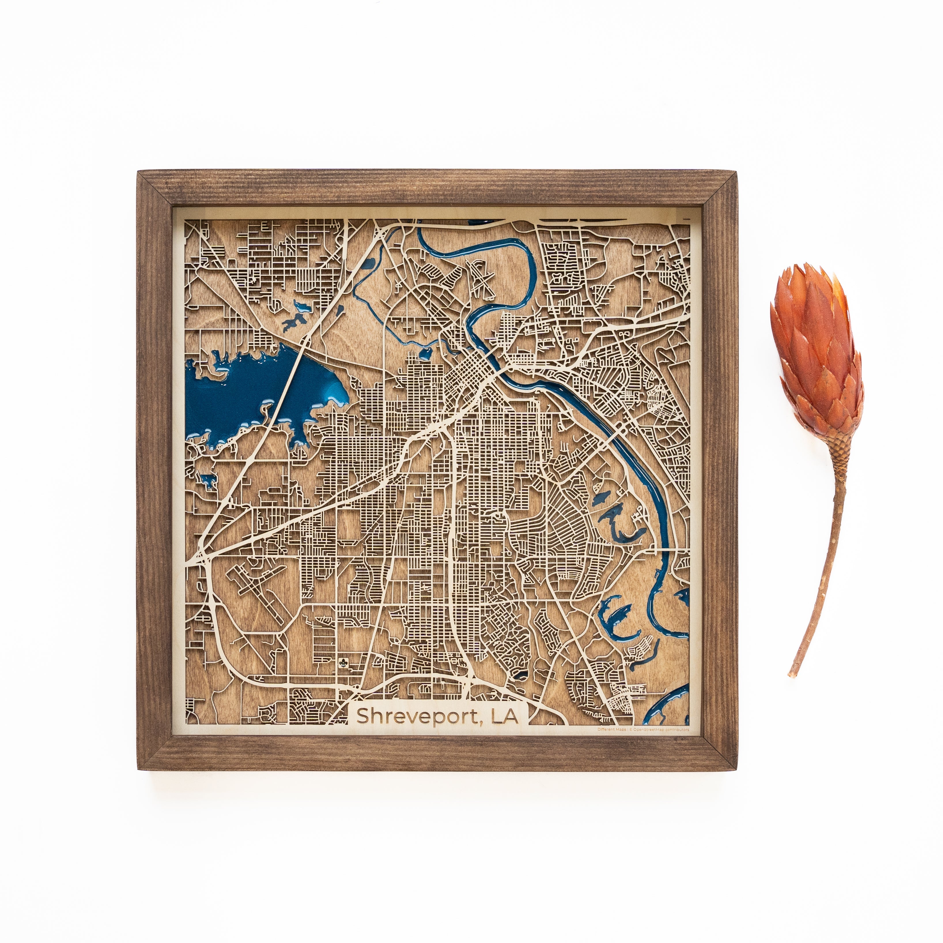 Shreveport Wood Map 