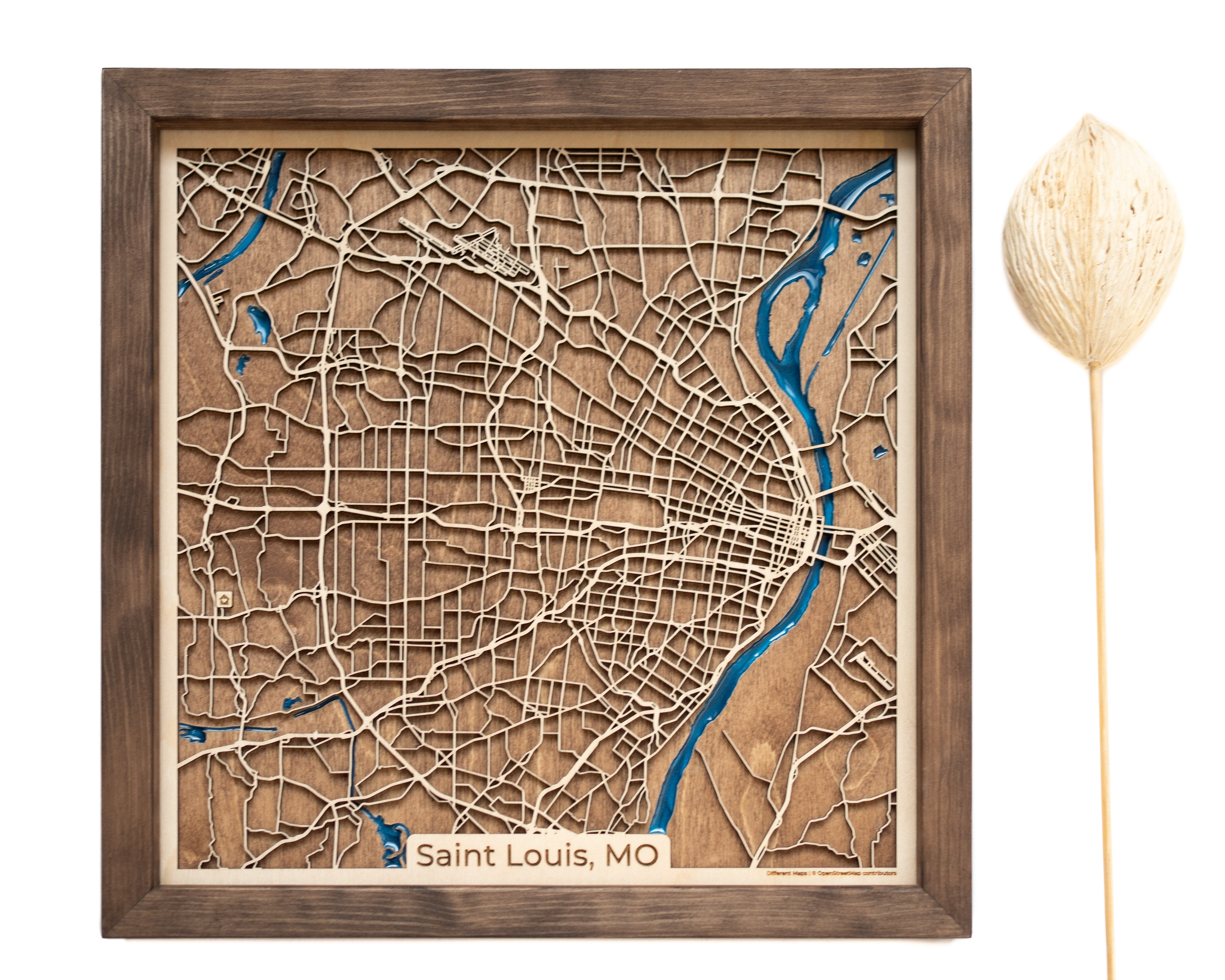 St. Louis MO Map