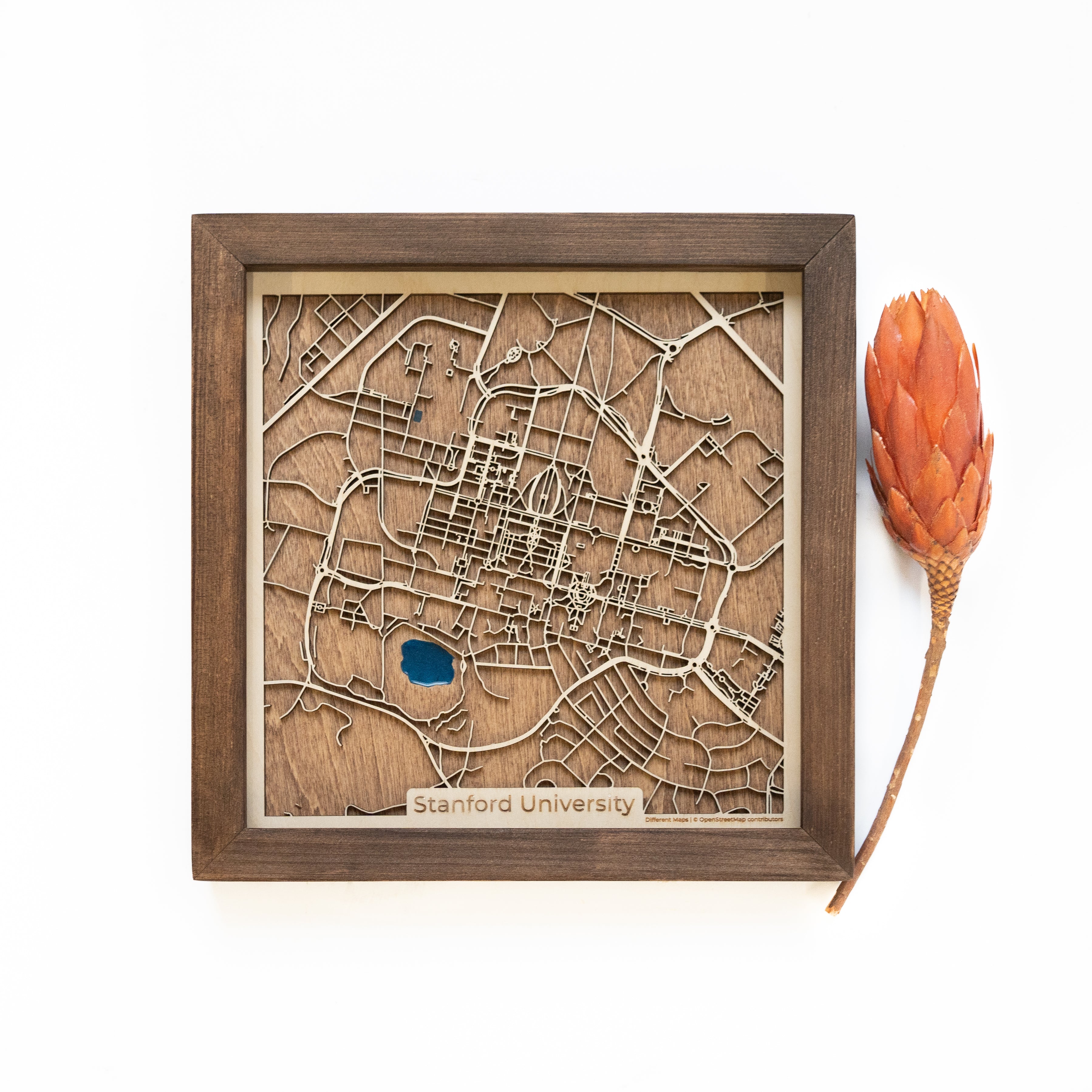 Stanford University Wood Map