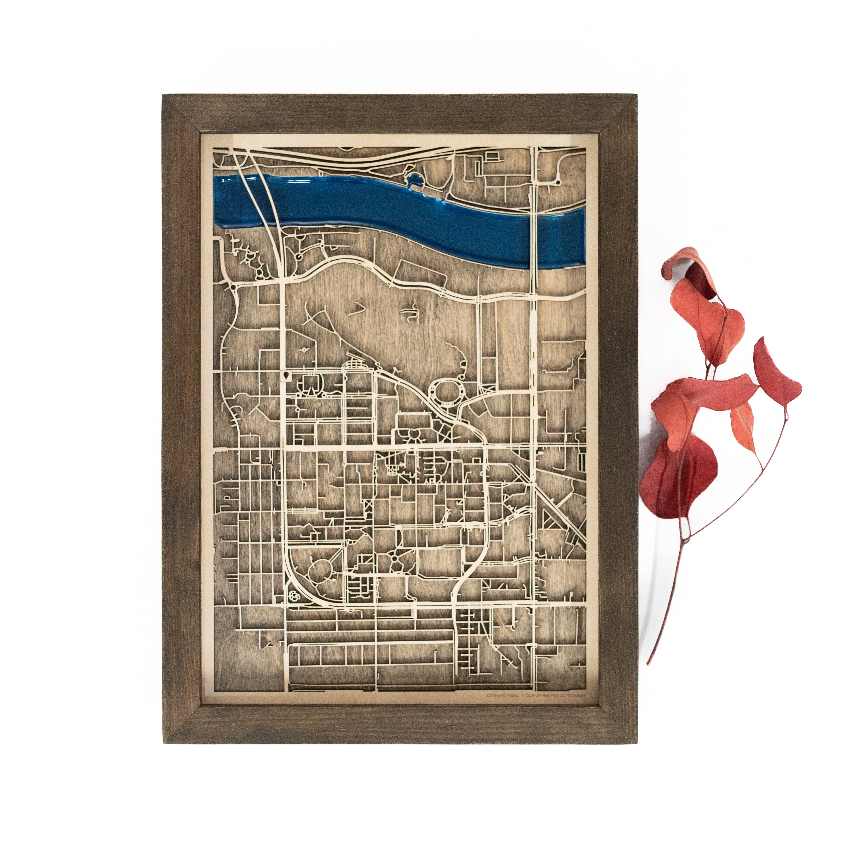 Tempe Wood Map