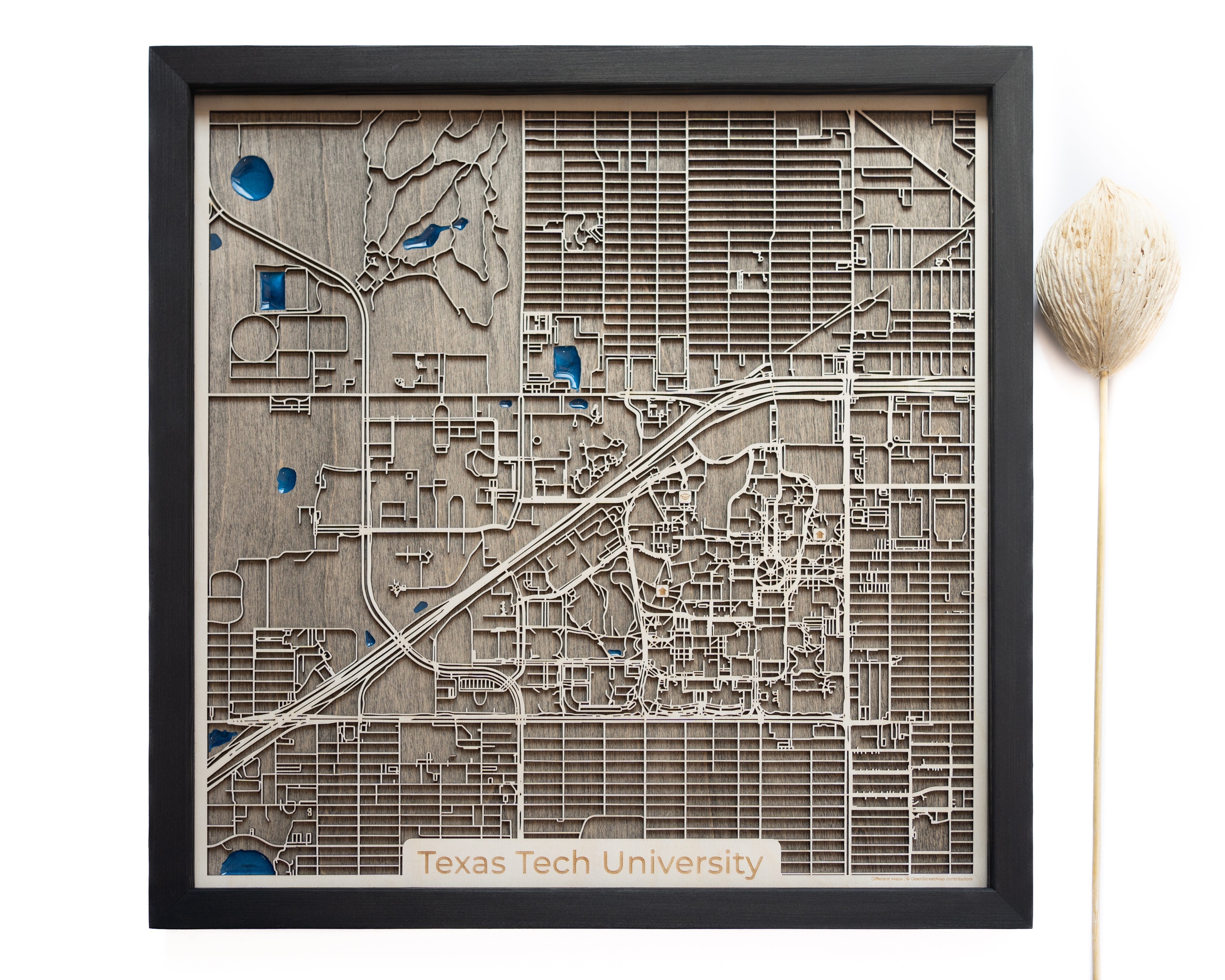 Texas Tech University Wood Map