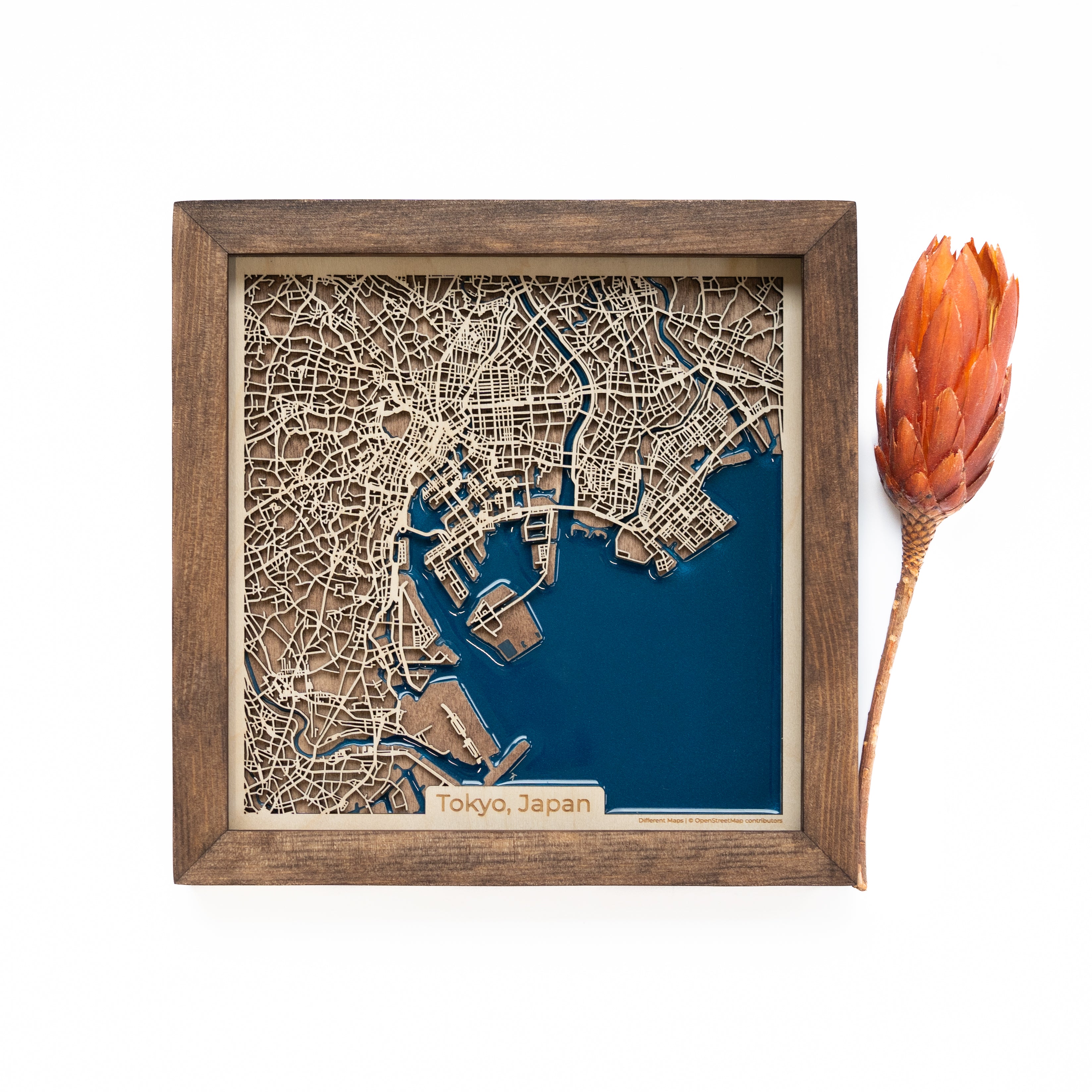 Tokyo Wood Map