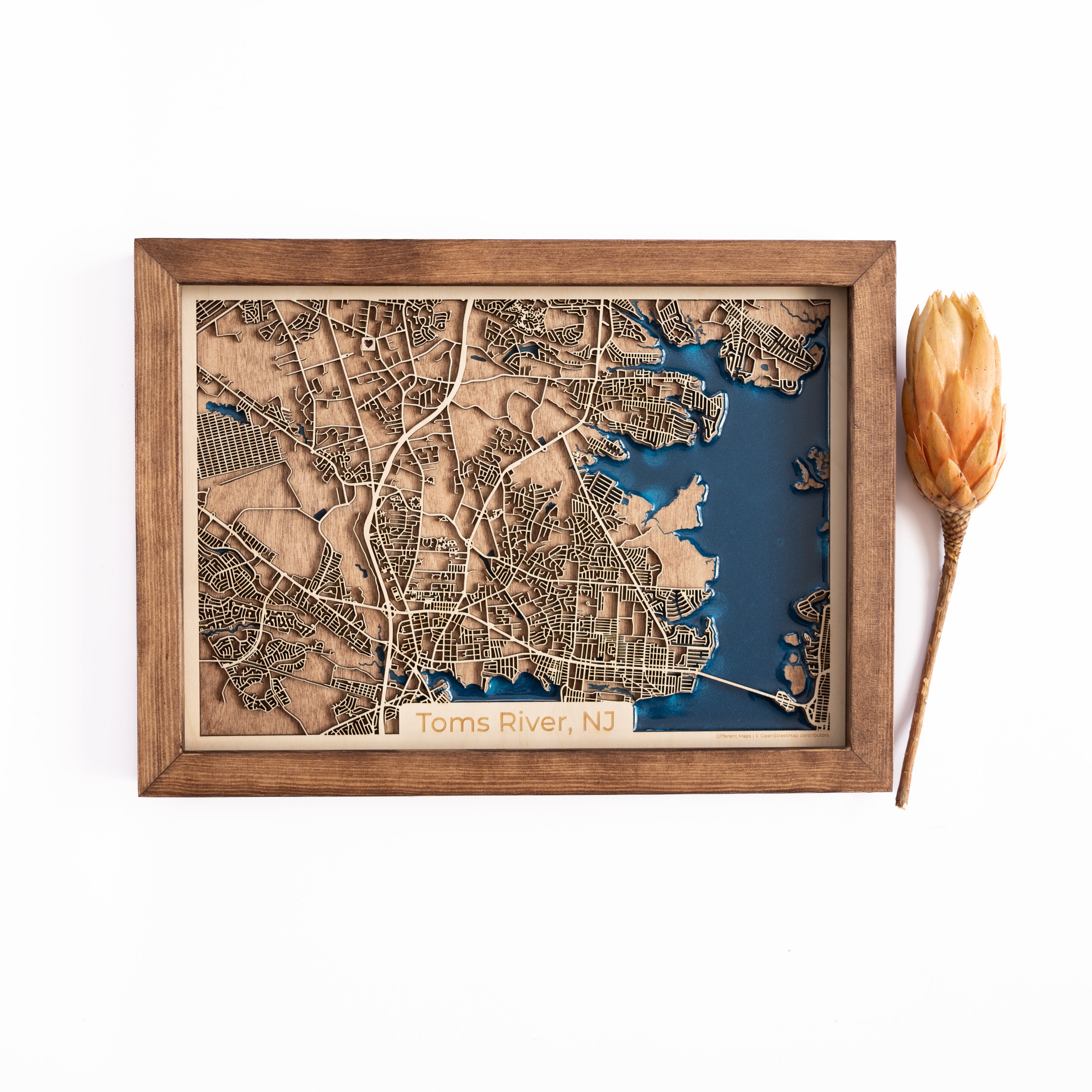 Toms River Wood Map